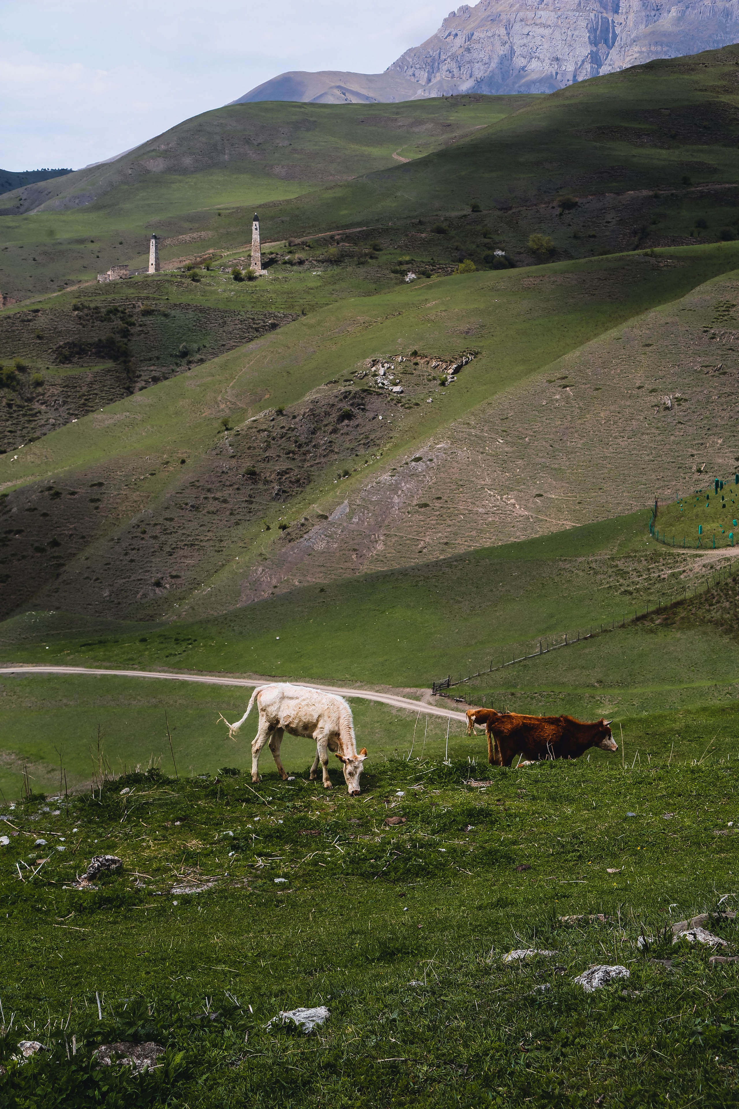 Кавказ: Ингушетия — страна башен. Дарья Письменюк / Darya Leitstern — фотограф, музыкант, журналист, путешественник