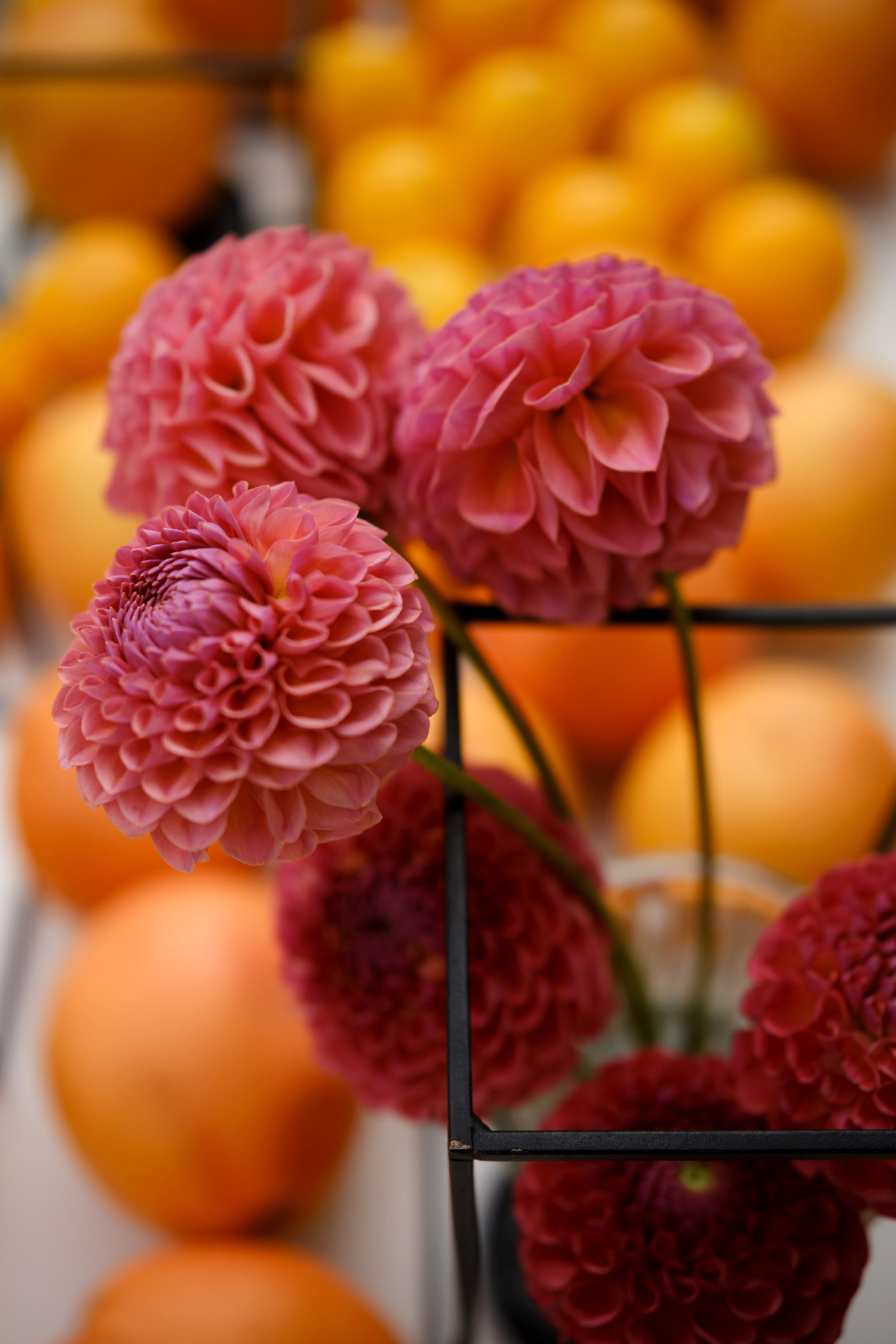 Виктор и Яна. Фотограф Елена Маринина Москва