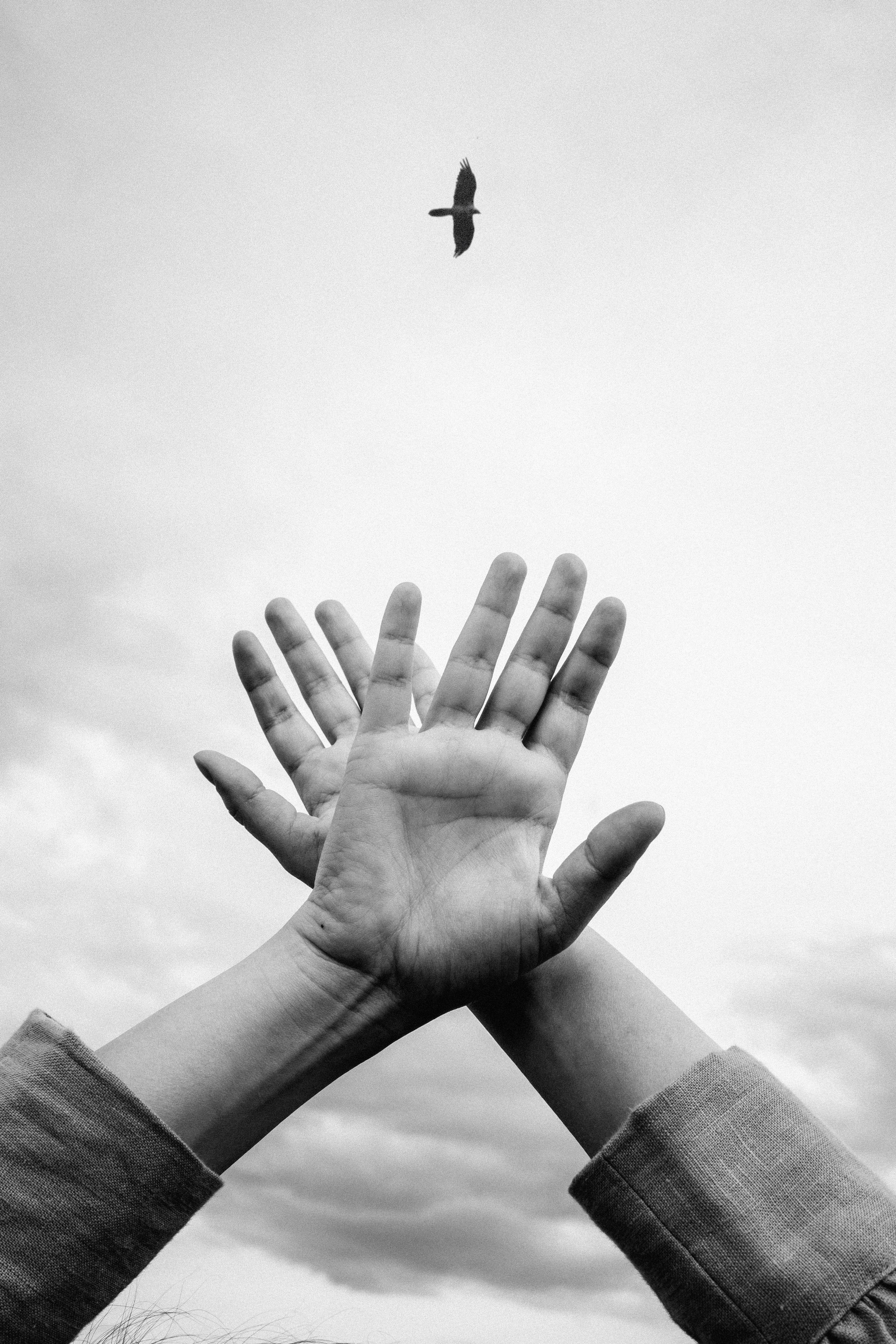 SPONTA. Фотограф Яна Булгакова