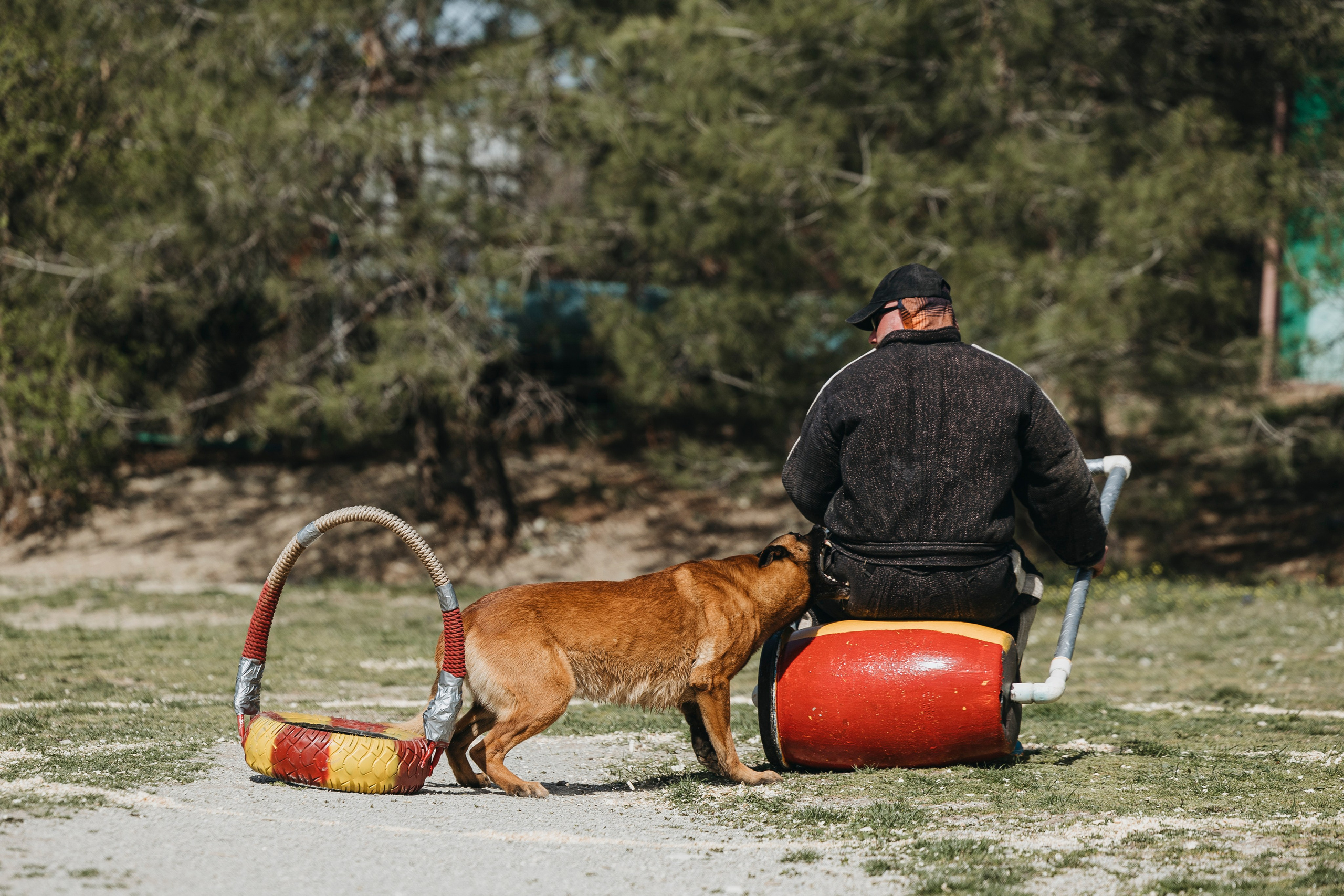 Геленджик Мондьоринг. Фотограф-анималист Анна Маринич