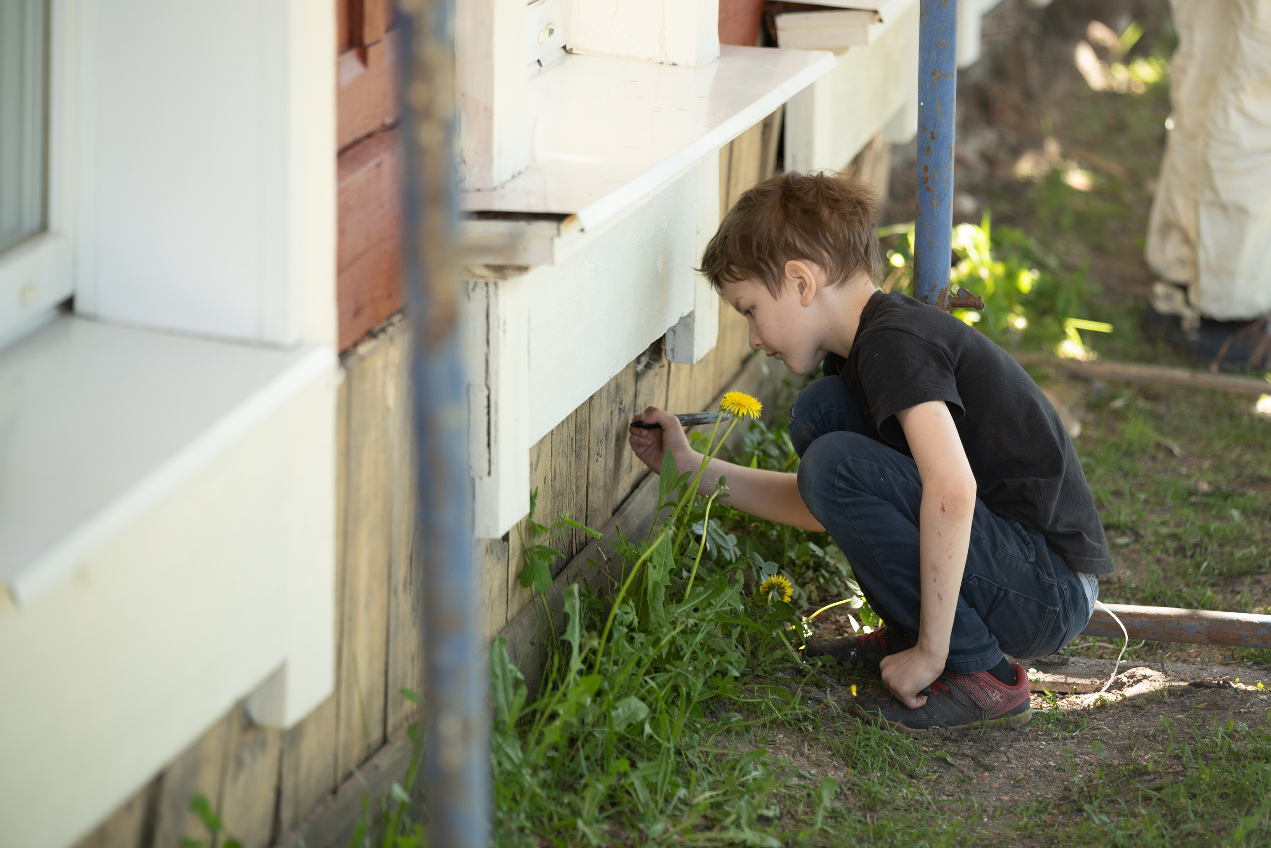 Том Сойер Фест ул. Кардовского 25 (репортаж). Портретная и репортажная съёмка