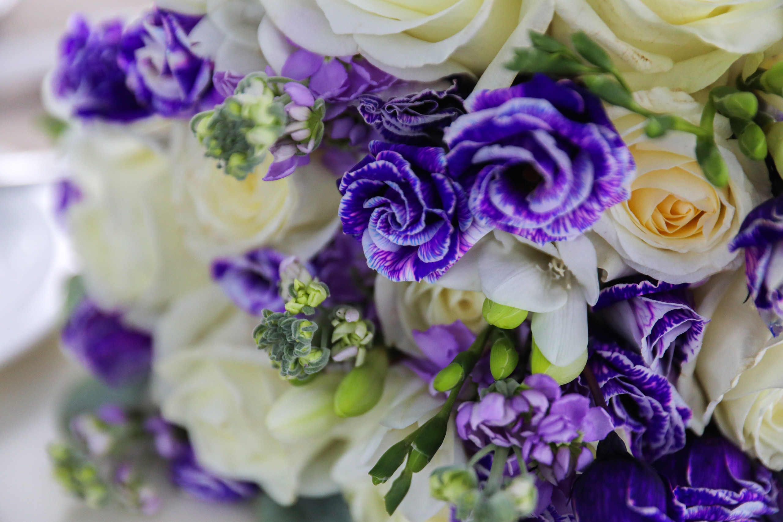 Свадьба — это весело. Свадебный фотограф Санкт-Петербург