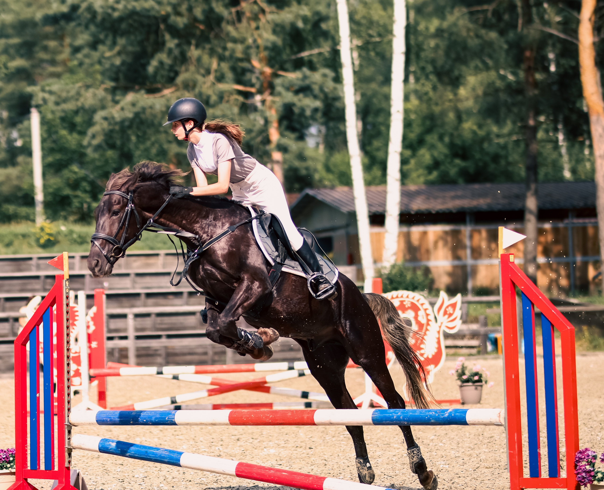 Лошади. Фотограф репортажей и стритфотосессий в Москве Людмила Смирнова