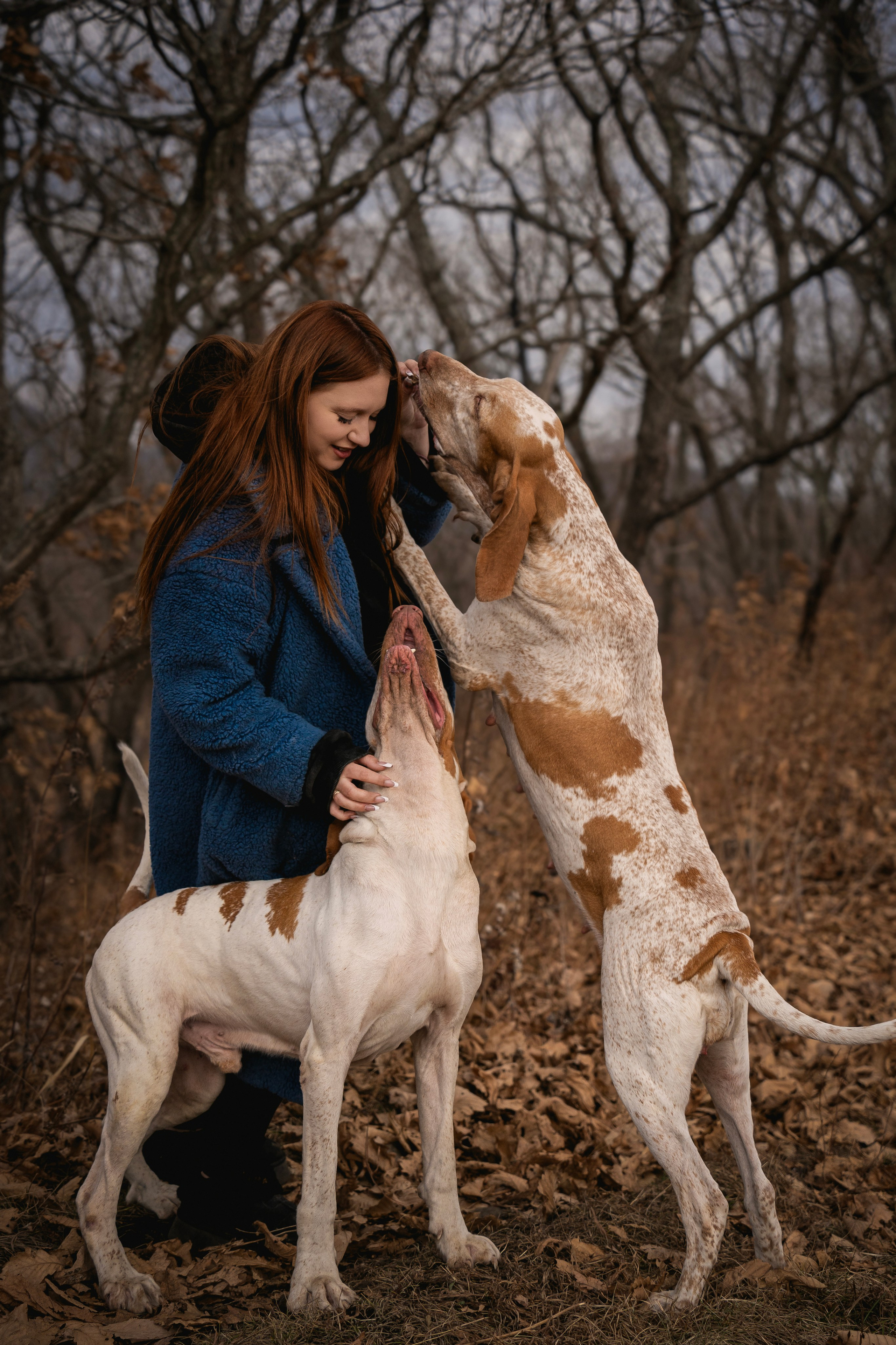 Итальянский бракк Стеша и Любомир. Семейный фотограф анималист г. Находка