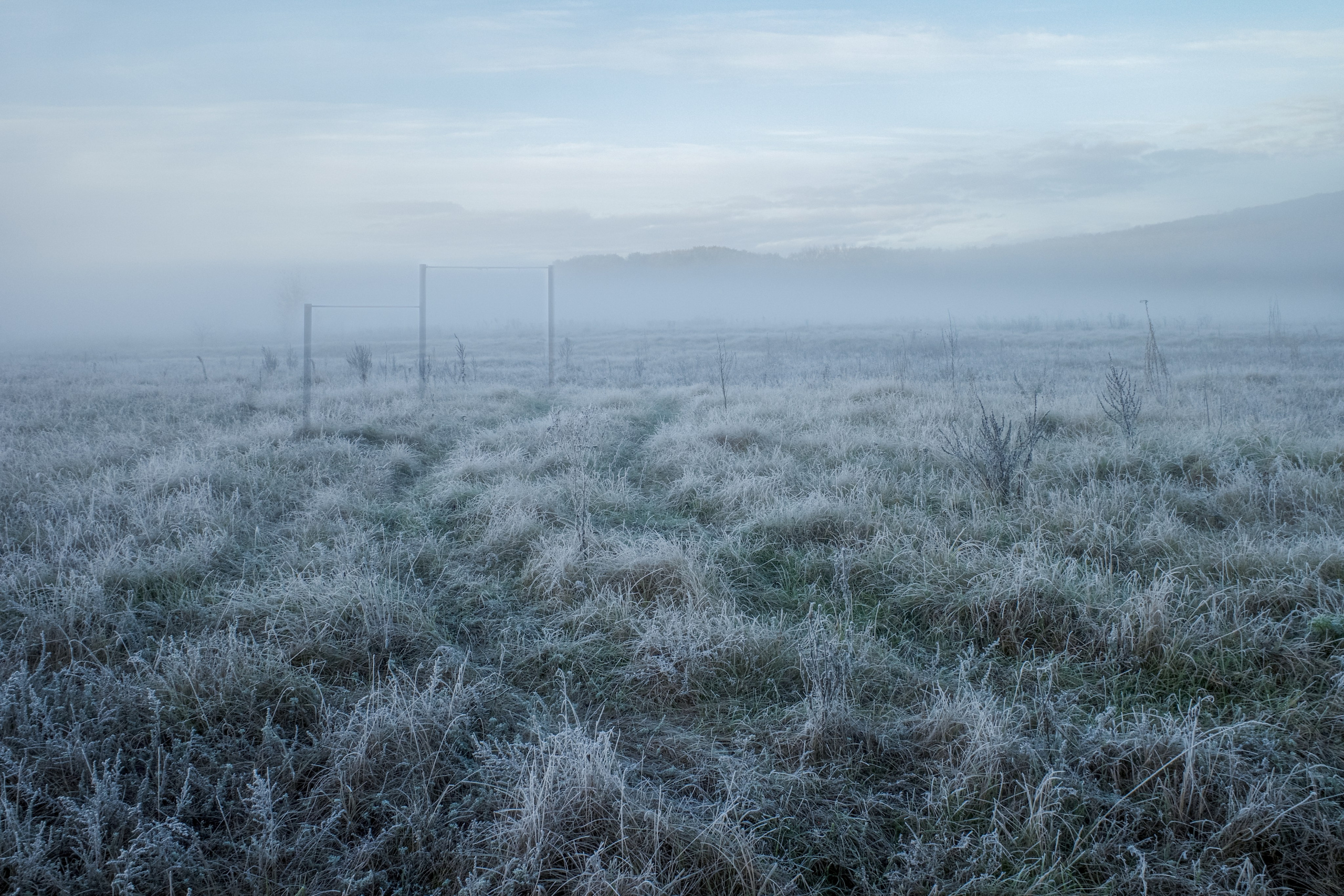 О границах реального. Междисциплинарный художник Екатерина Старовойтова