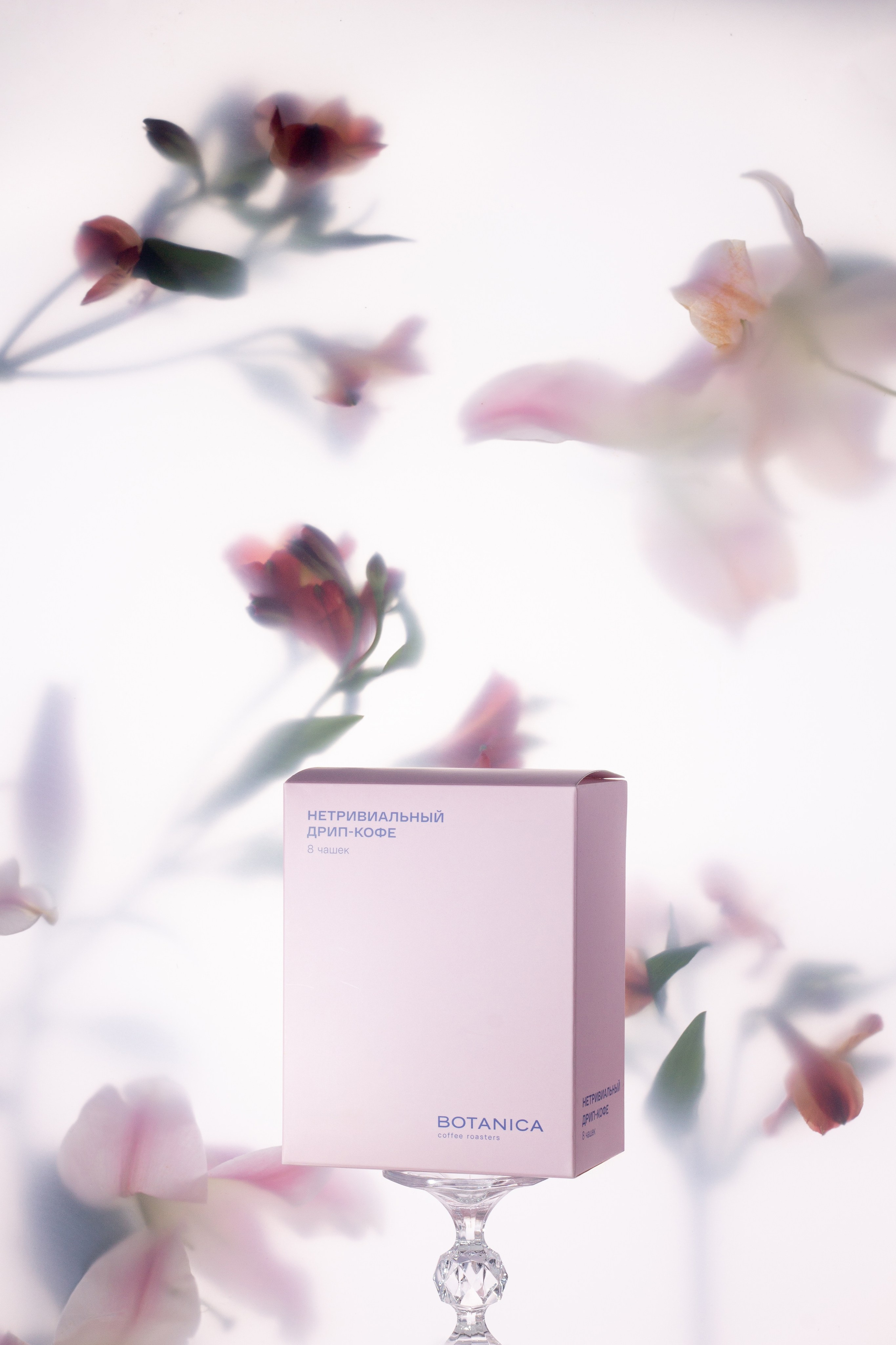 Портфолио. Альбина Ромозанова, фотограф из Казани