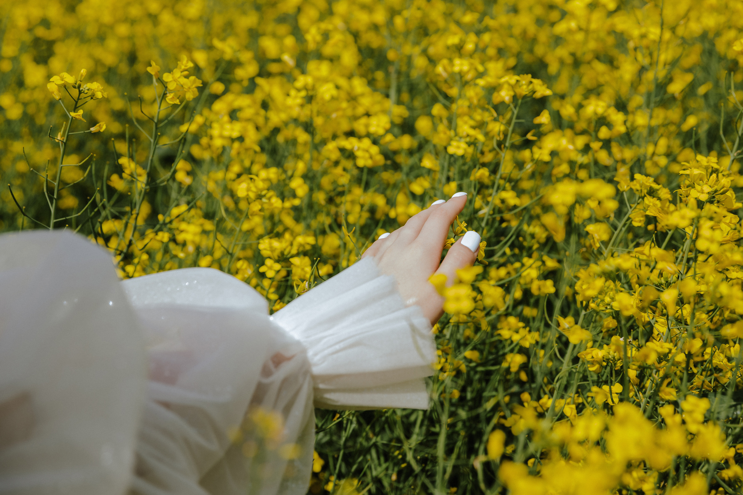 Анастасия и Руслан. Свадебный фотограф в Иркутске