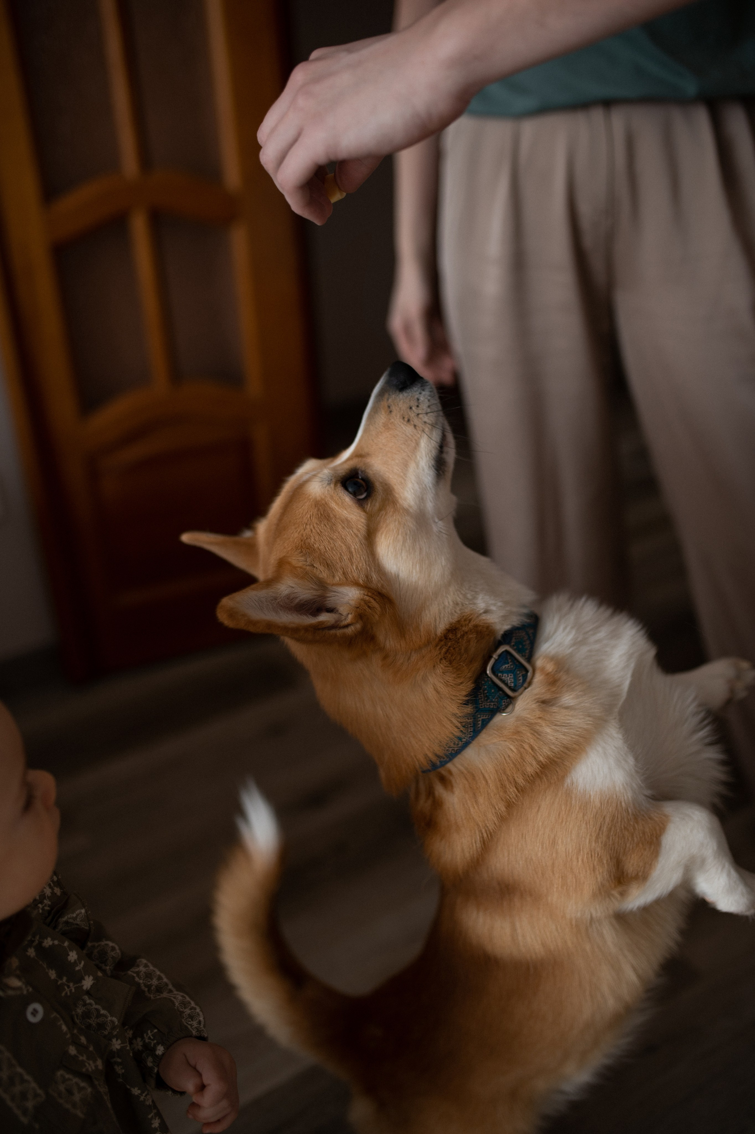 Даша, Саша, Алеся. Www.ostermiller.ru