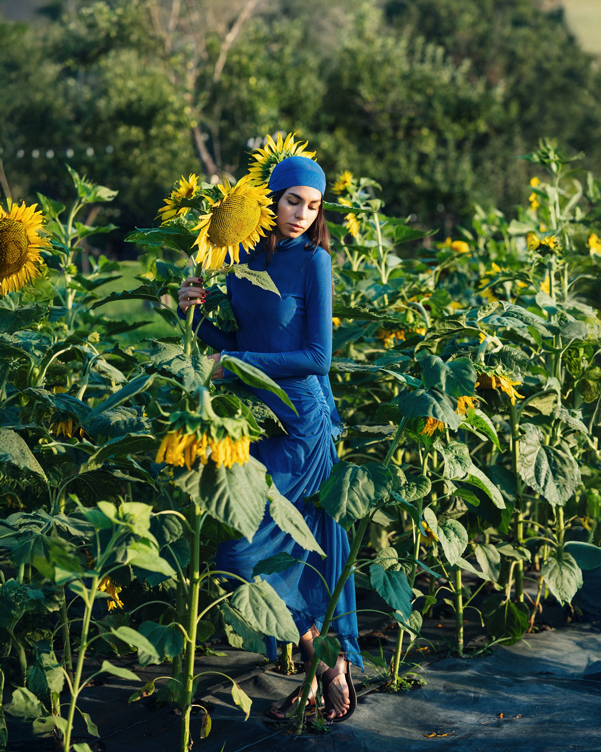 Магазины/Каталог/Лукбук. Свадебный фотограф в Алматы — Алексей Коньков