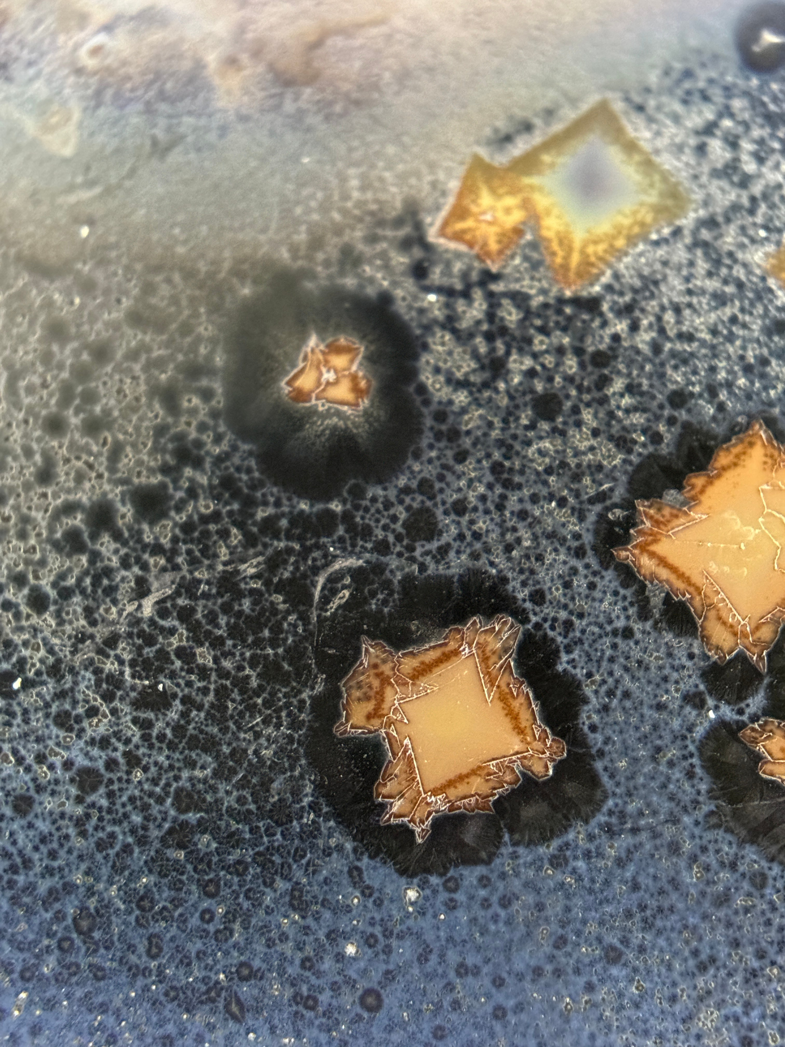 Curriculum Vitae. Артур Бахтин