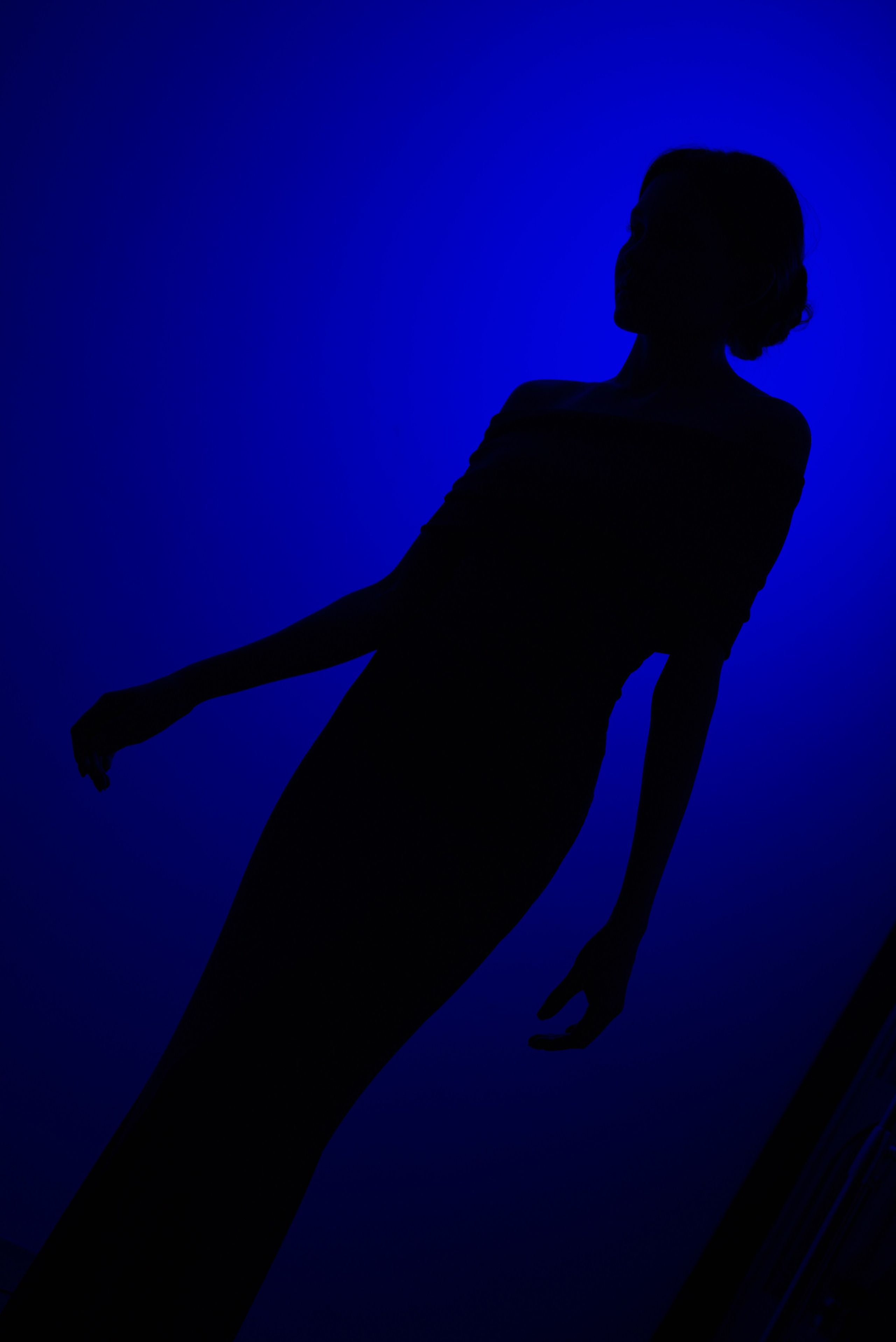 Силуэт на синем. Мир глазами Саши Д