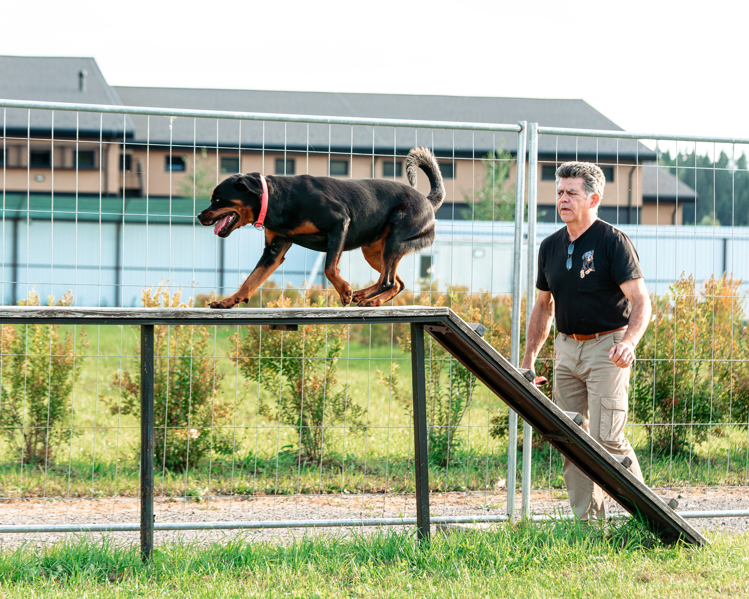 Ваш путь к ПОБЕДЕ (ТРЕНИРОВКИ). Фотограф-анималист, семейный фотограф в Москве и Подмосковье. Фотосъёмка кинологических дисциплин