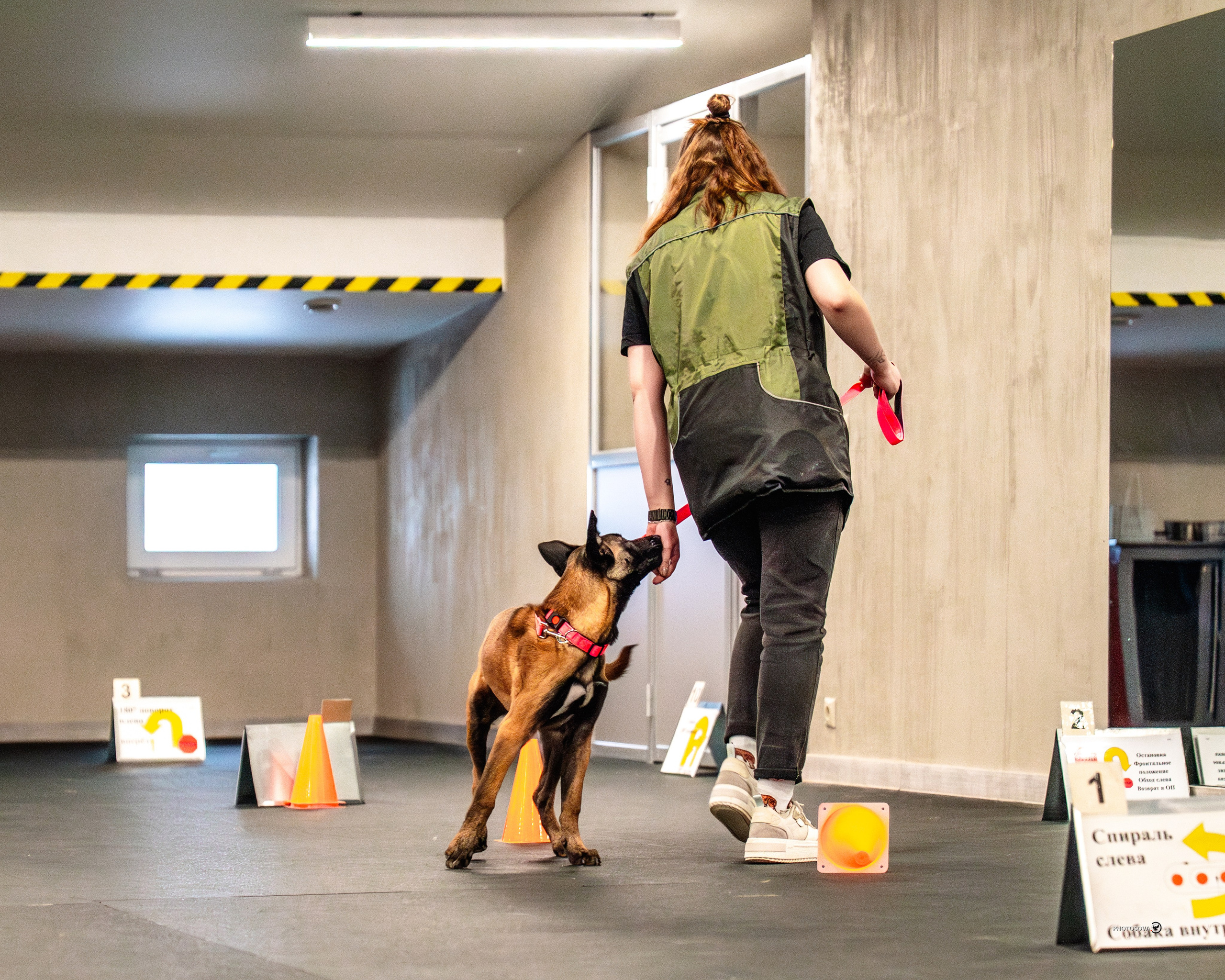 ТЫ И Я (соревнования по ралли-обидиенс). Фотограф-анималист, семейный фотограф в Москве и Подмосковье. Фотосъёмка кинологических дисциплин