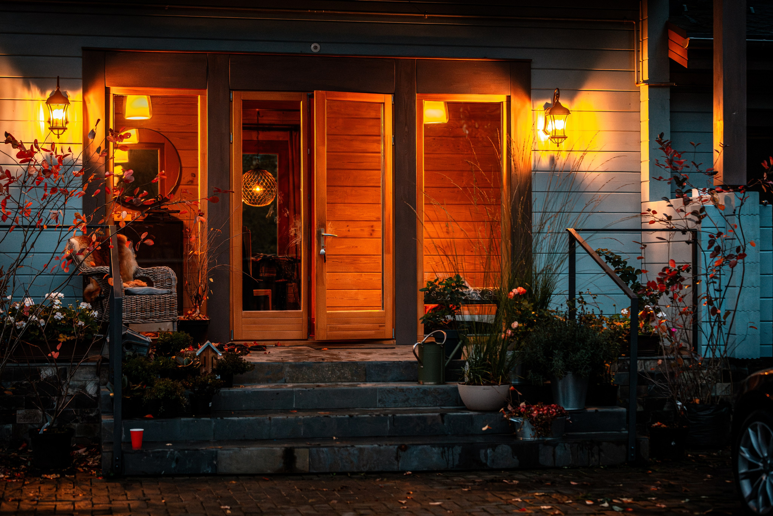 ФОТОПАМЯТЬ ВАШИХ ЭМОЦИЙ. Фотограф-анималист, семейный фотограф в Москве и Подмосковье. Фотосъёмка кинологических дисциплин