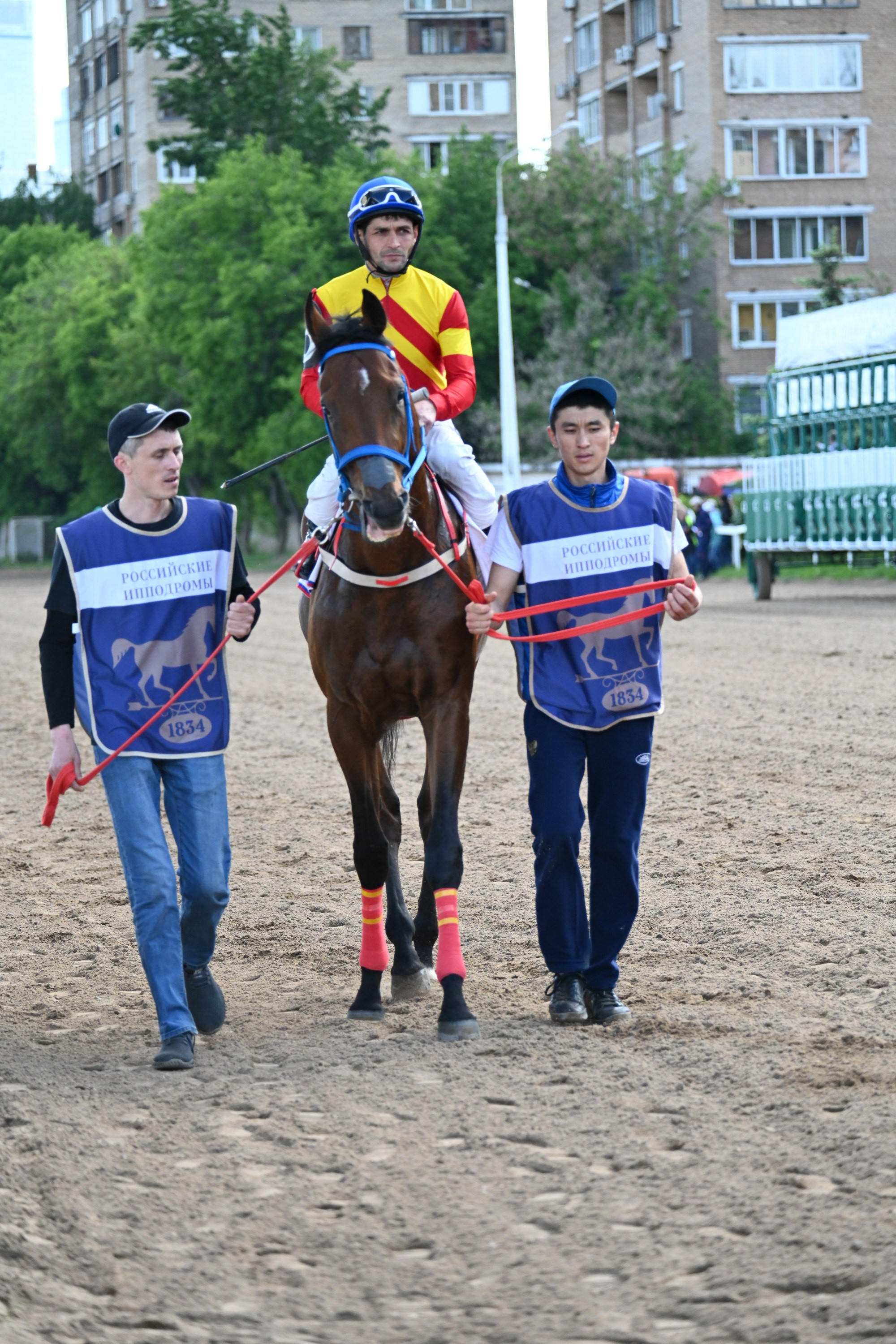 Московский ипподром. Fotolux