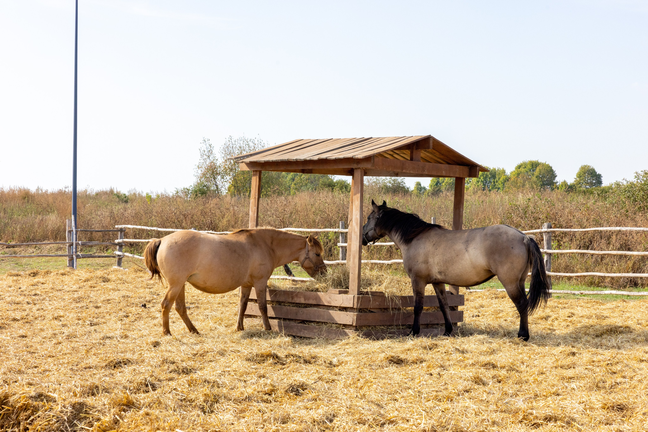 Куликово Поле. Фотограф в Туле Крупский АнДРей. Фотостудия «КАДР71» в Туле