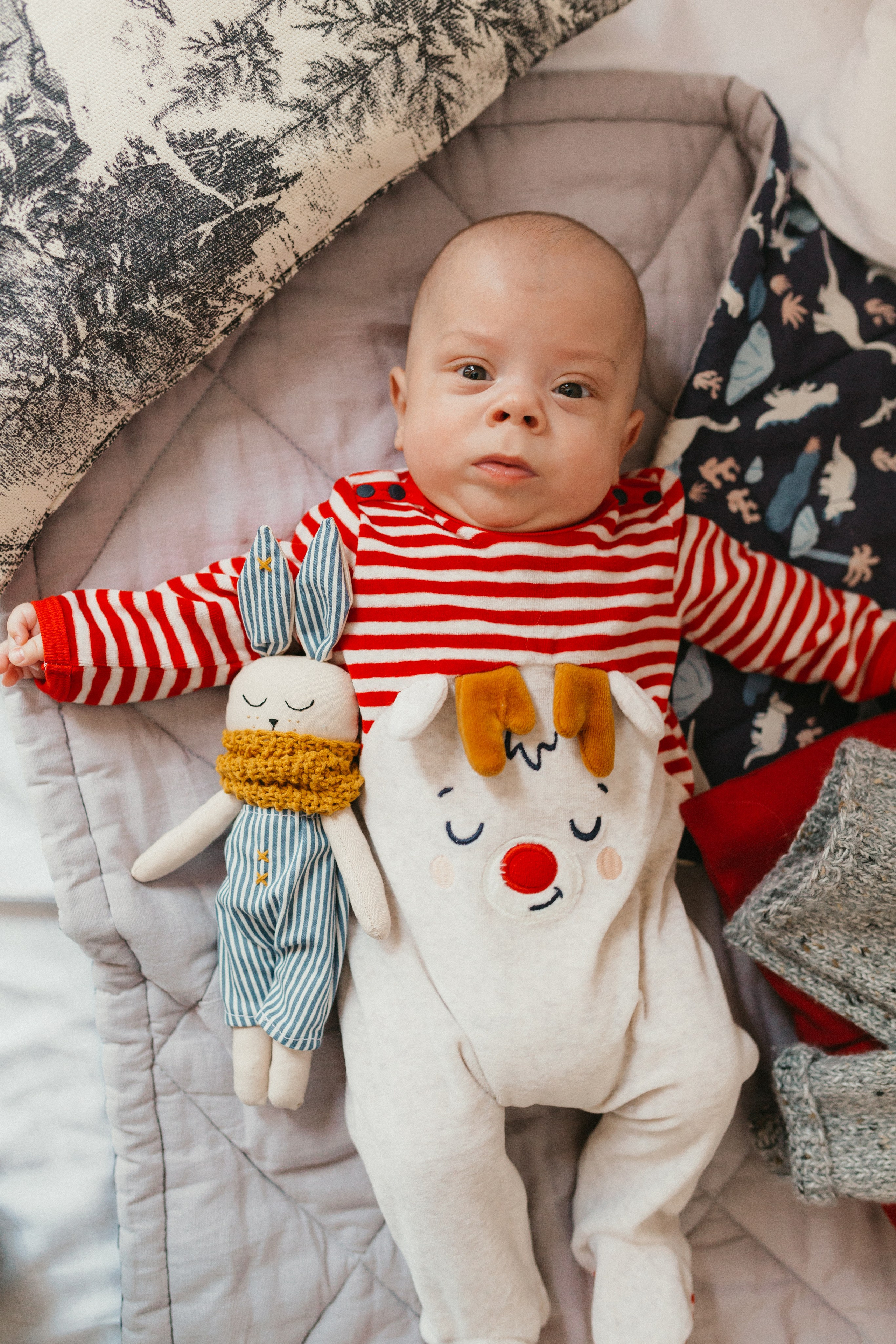 Новогодняя. Свадебный фотограф в Ярославле Алиса Тарасова