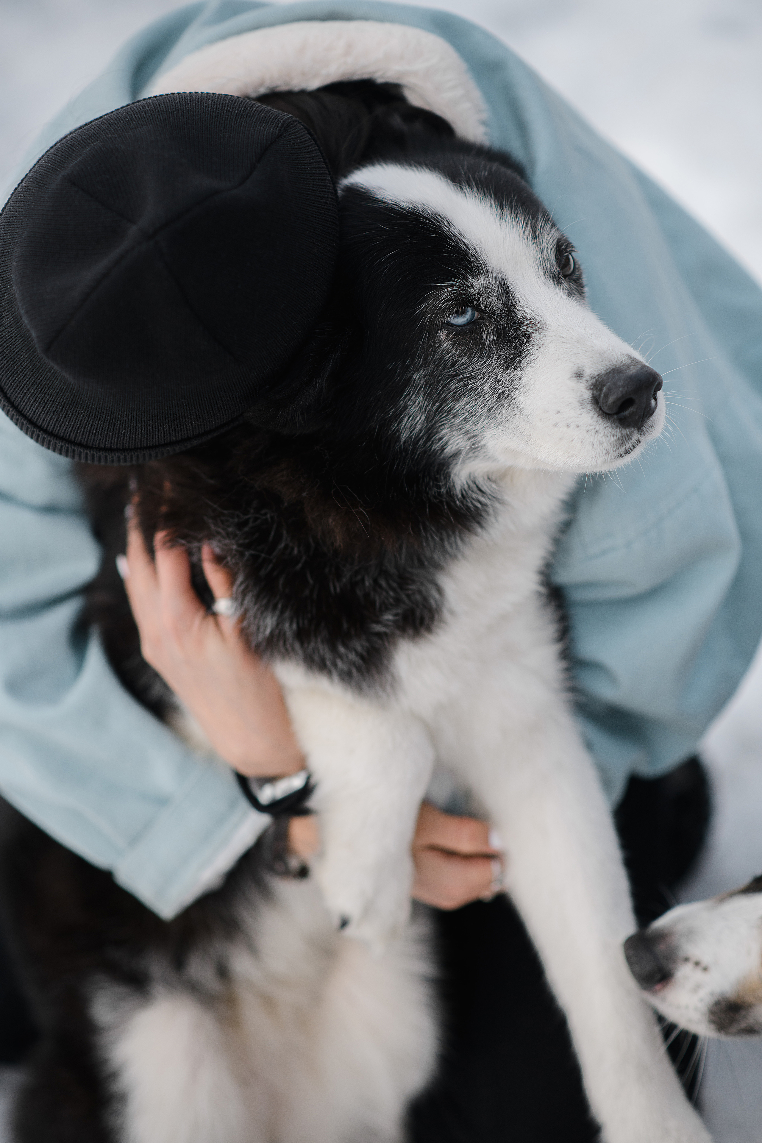 Ёлка, Кубик, Оксана и Женя. Свадебный фотограф Екатеринбург/Челябинск — Любовь Волохова