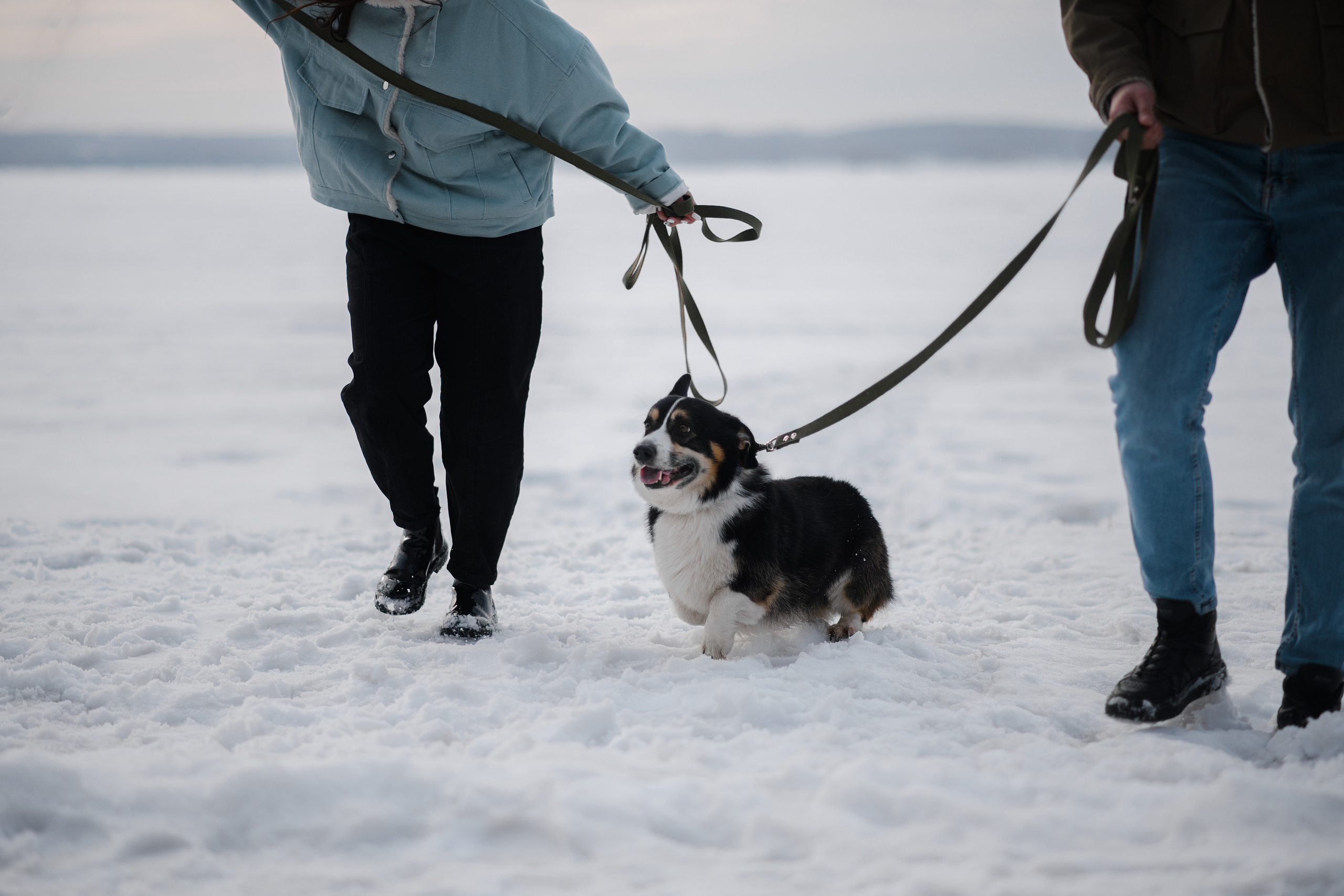 Ёлка, Кубик, Оксана и Женя. Свадебный фотограф Екатеринбург/Челябинск — Любовь Волохова