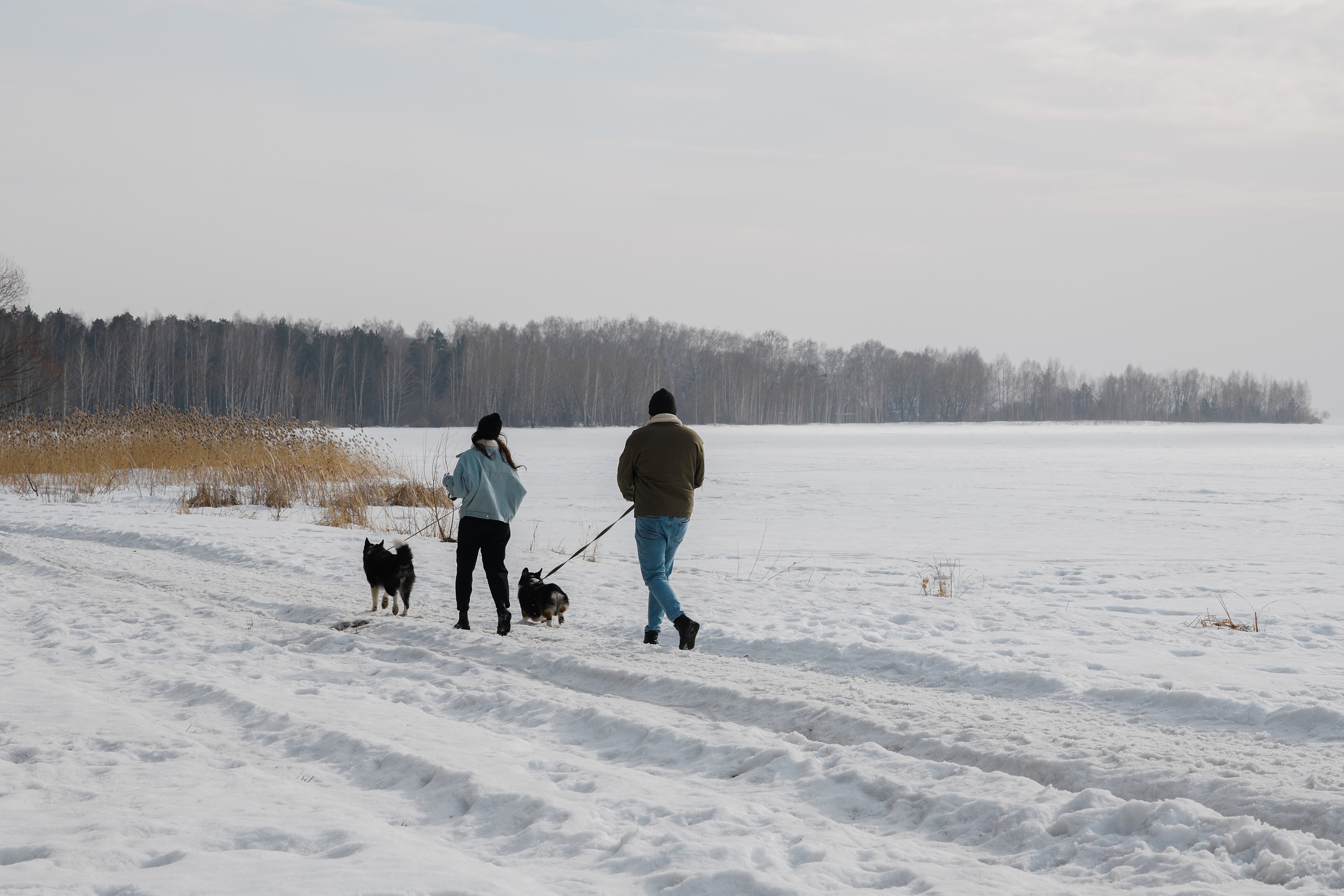 Ёлка, Кубик, Оксана и Женя. Свадебный фотограф Екатеринбург/Челябинск — Любовь Волохова