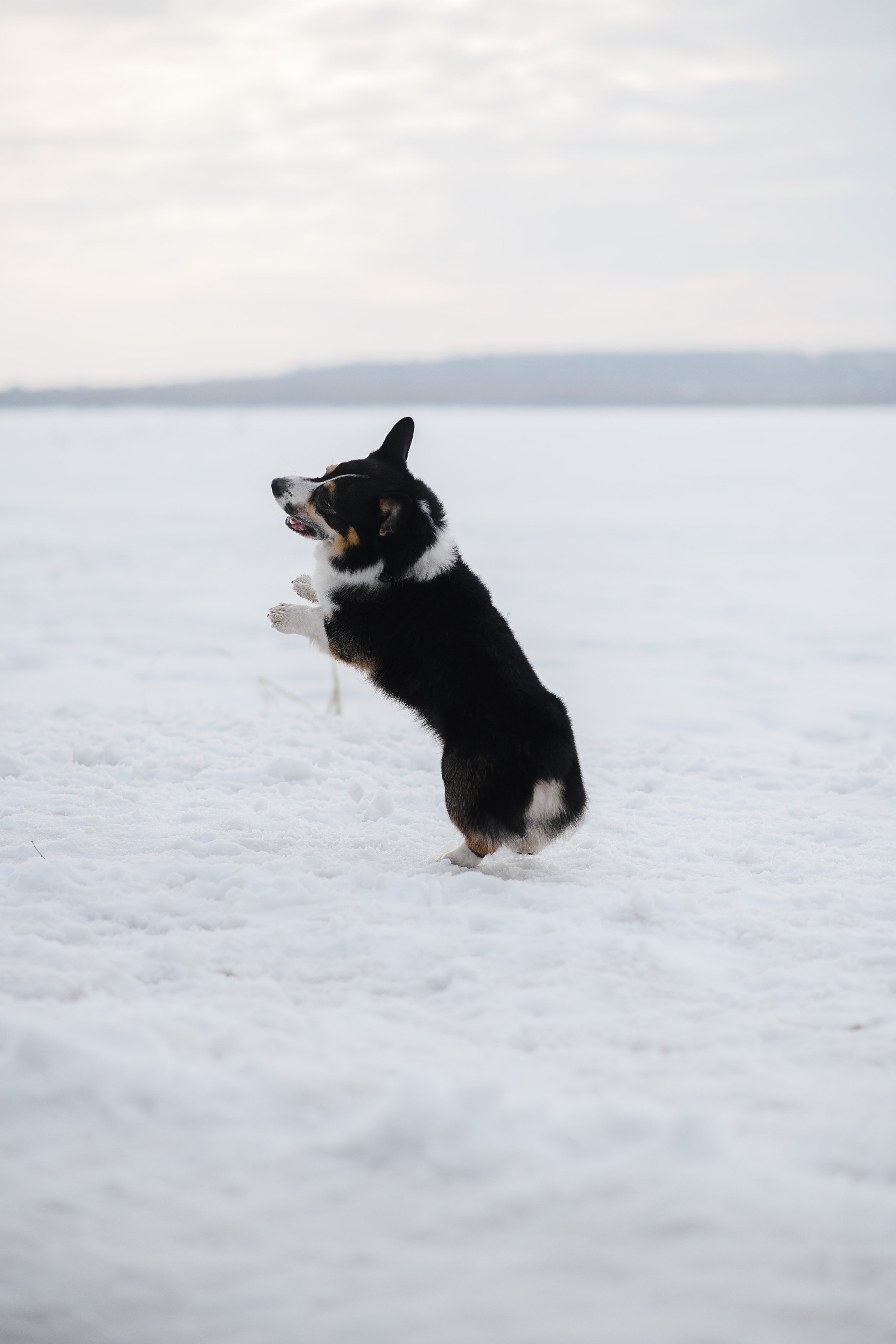 Ёлка, Кубик, Оксана и Женя. Свадебный фотограф Екатеринбург/Челябинск — Любовь Волохова