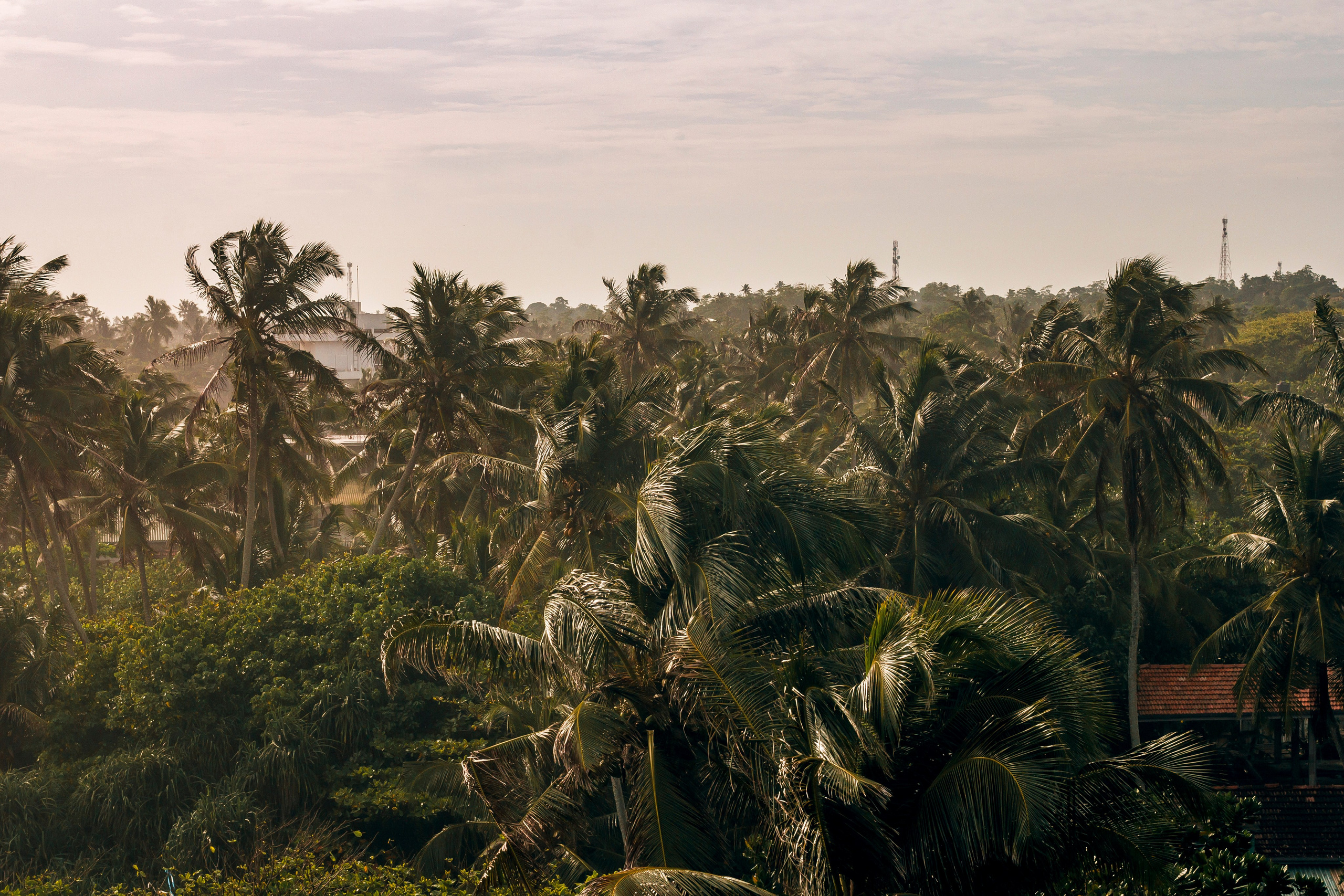 Sri Lanka. Art Photographer