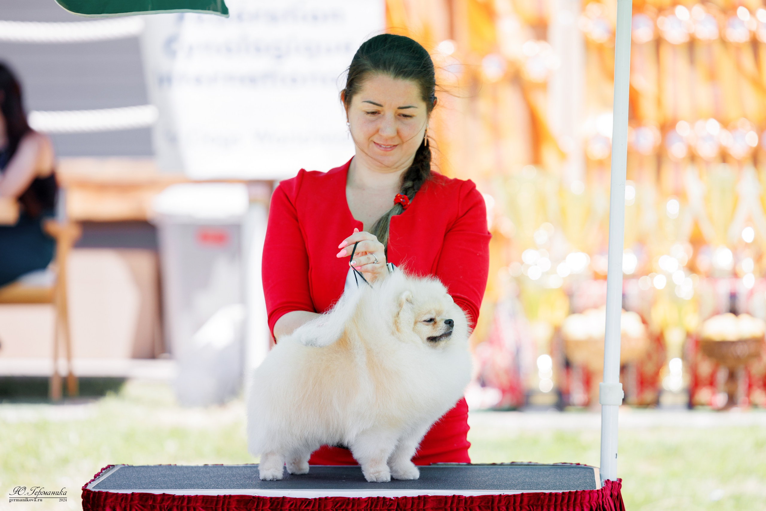 Ереван 3-5.06.2024. Фотограф-анималист Юлия Германика