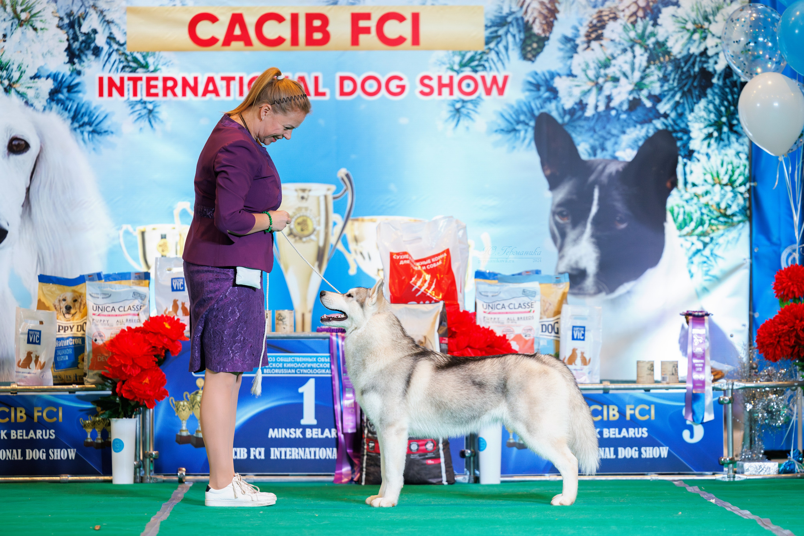 Минск 23.11.2024. Фотограф-анималист Юлия Германика