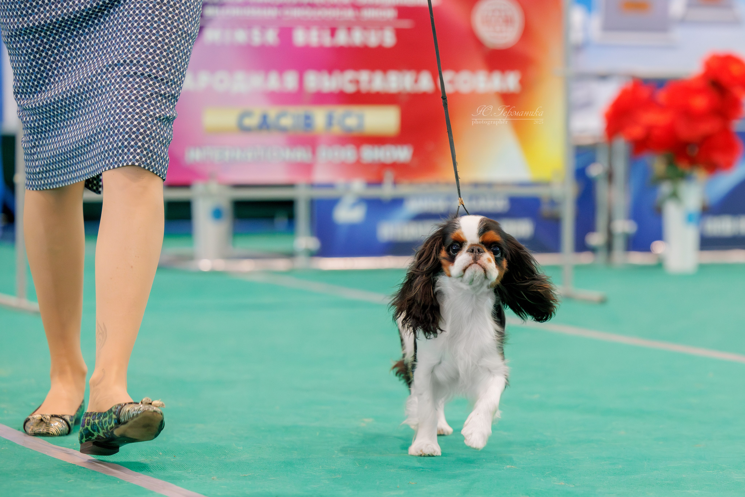 Минск 1-2.03.2025. Фотограф-анималист Юлия Германика