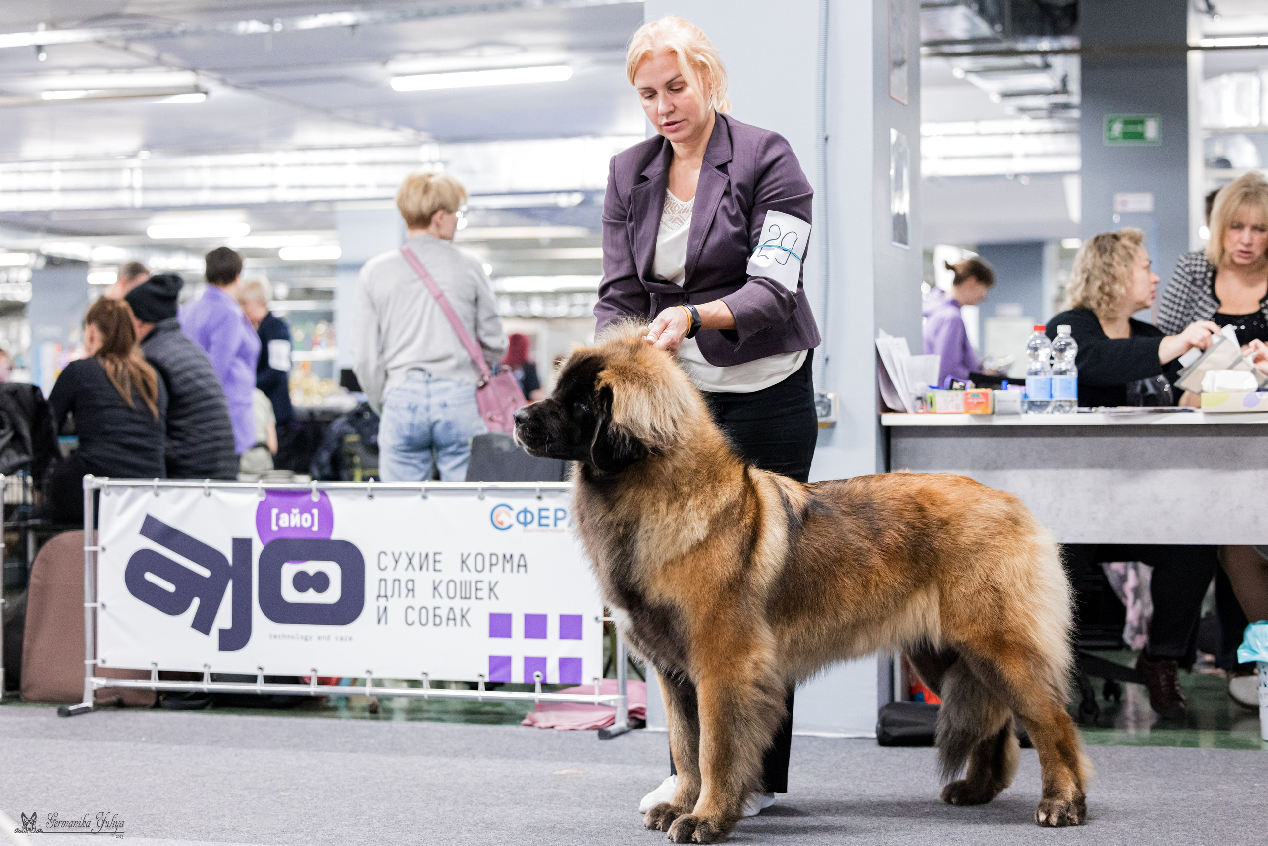 Сфера 29.10,Крокус 4.11,Сфера 12.11.2023. Фотограф-анималист Юлия Германика