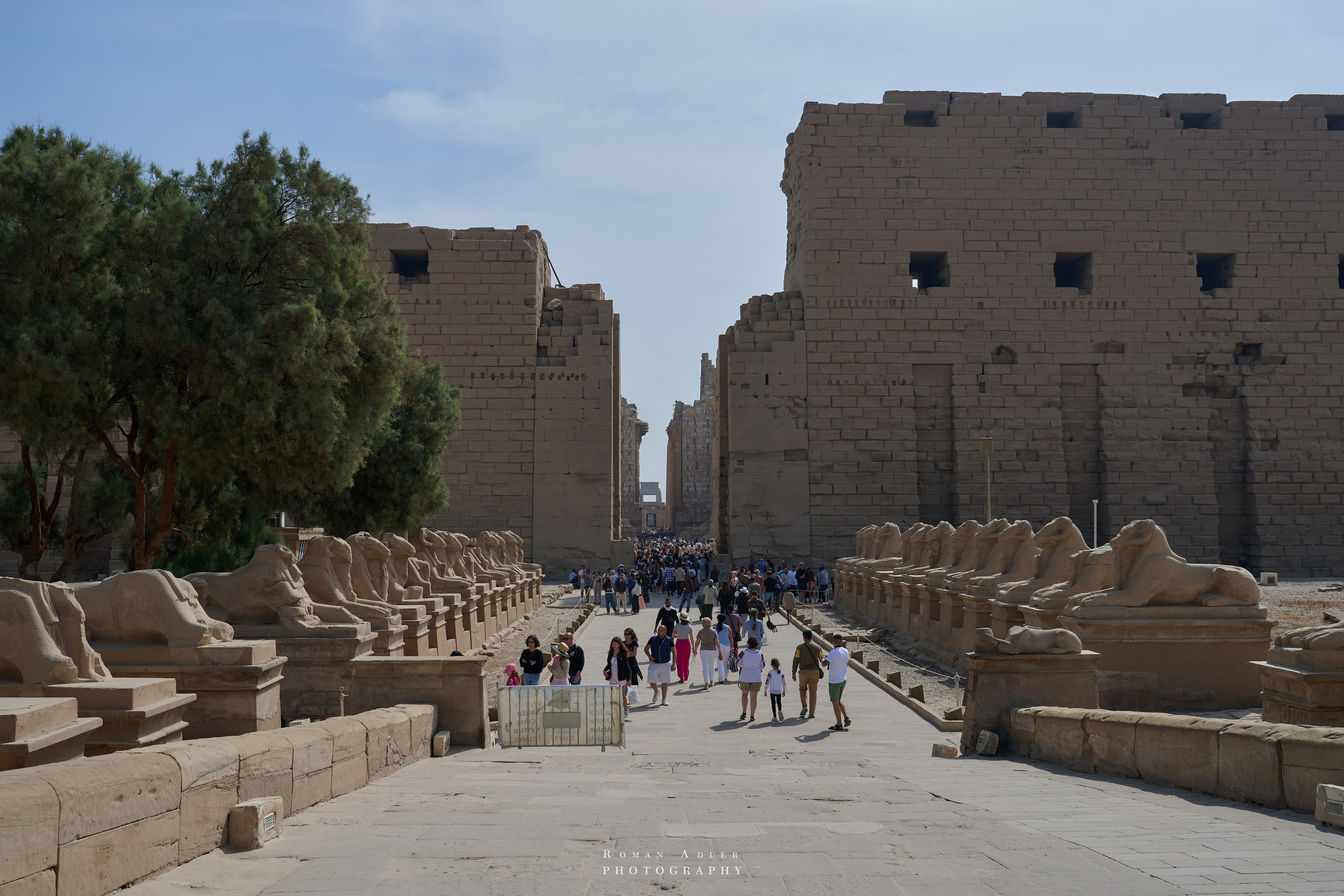 Луксор. Февраль 2025. Фотограф Роман Адлер