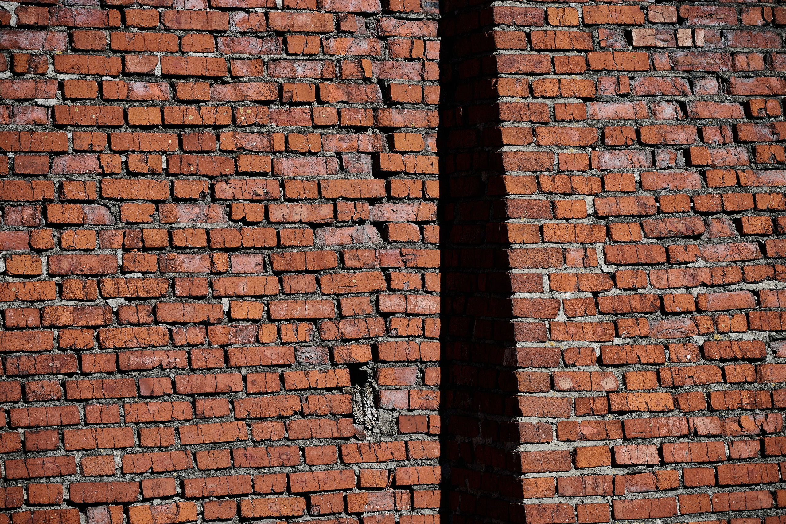 Мини путешествие в Коломну. Сентябрь 2024. Фотограф Роман Адлер