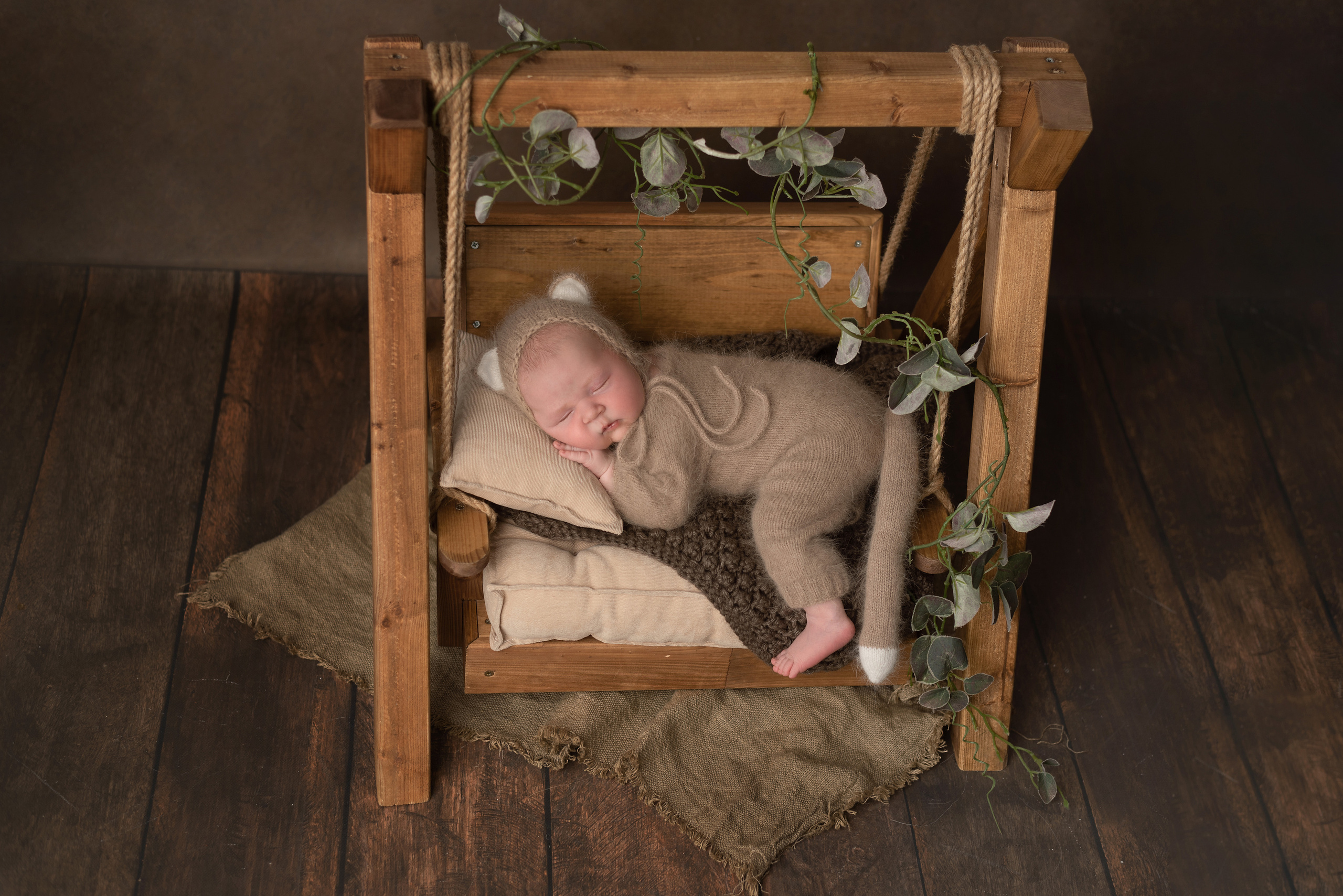 Kitten on a wooden swing