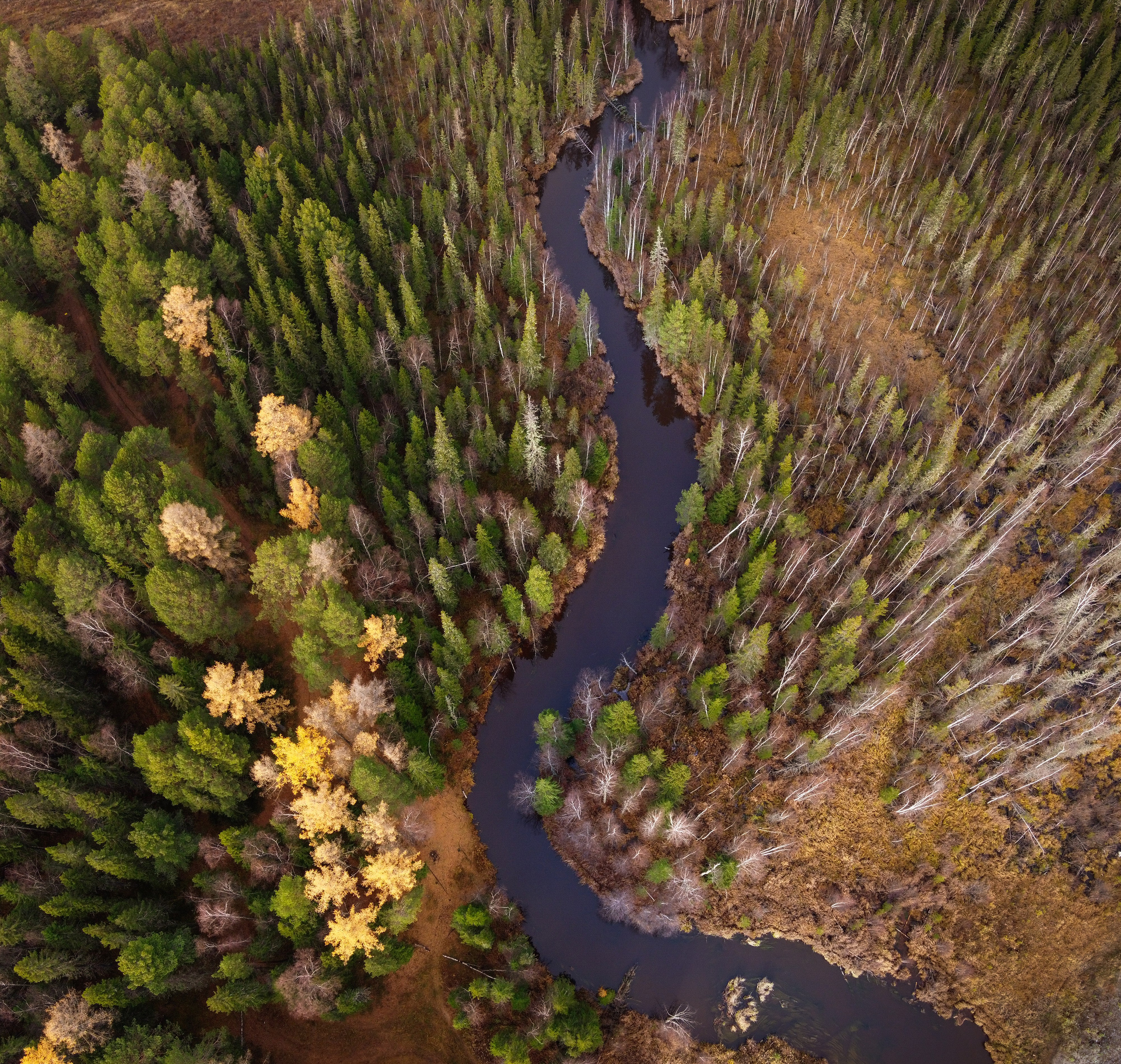 ПРИРОДА С ДРОНА. Фотограф Татьяна Борисова