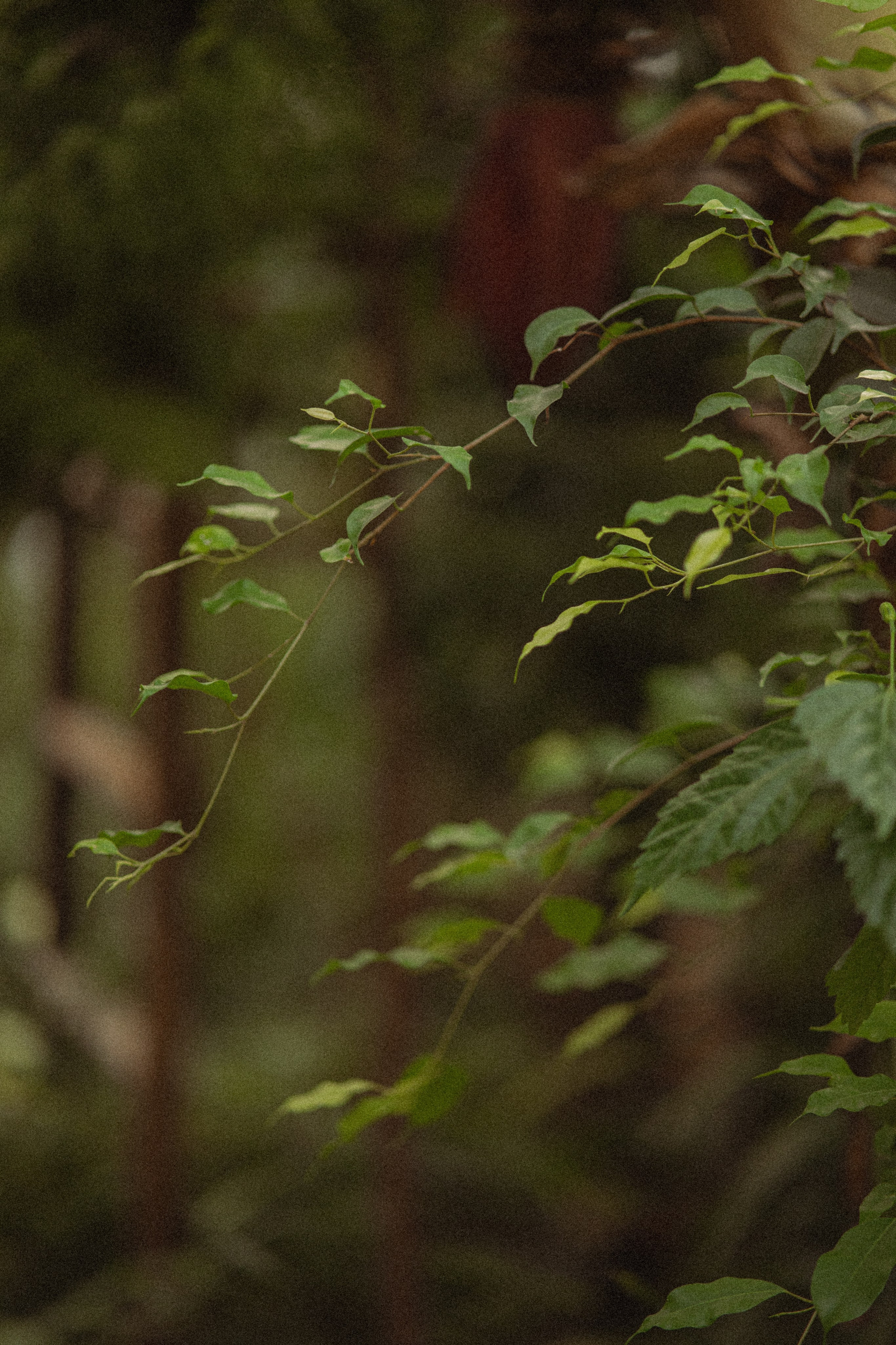 Ботанический сад. Фотограф Мария Зайчик