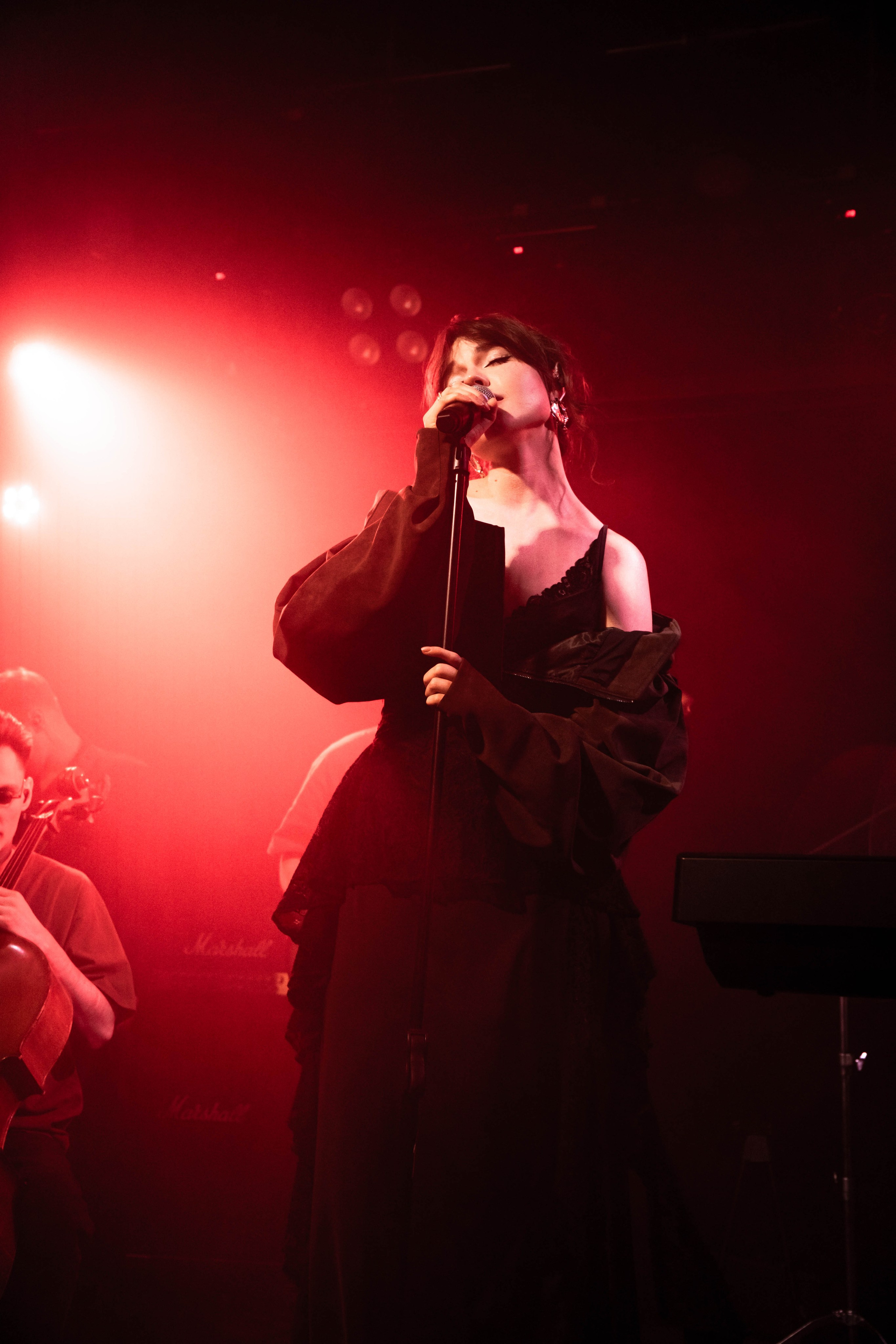 Концерт группы Лирида. Со стороны / репортажный фотограф в СПб