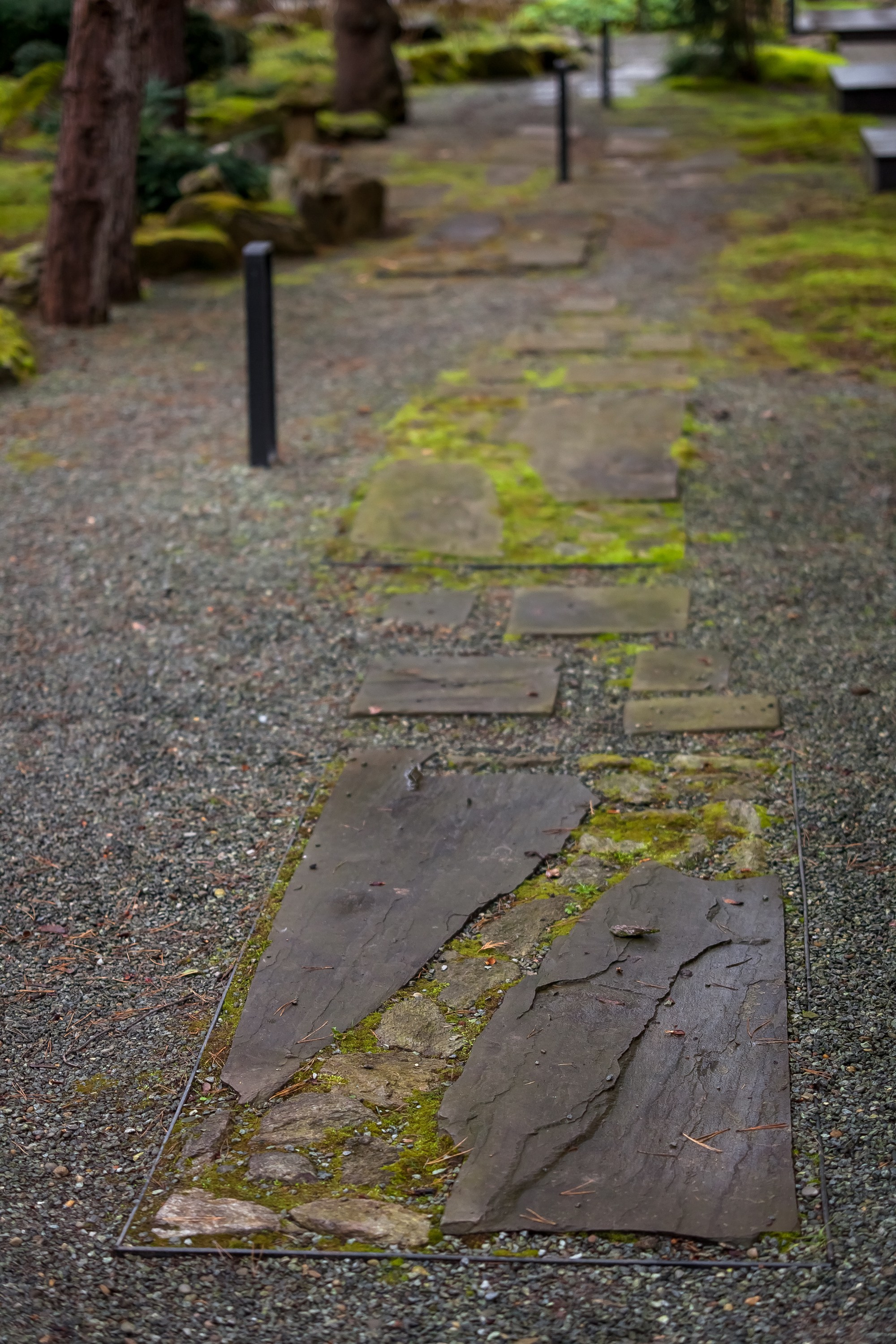 ОСТОРОЖНО МОХ. Туманов Виталий — фотограф Москва