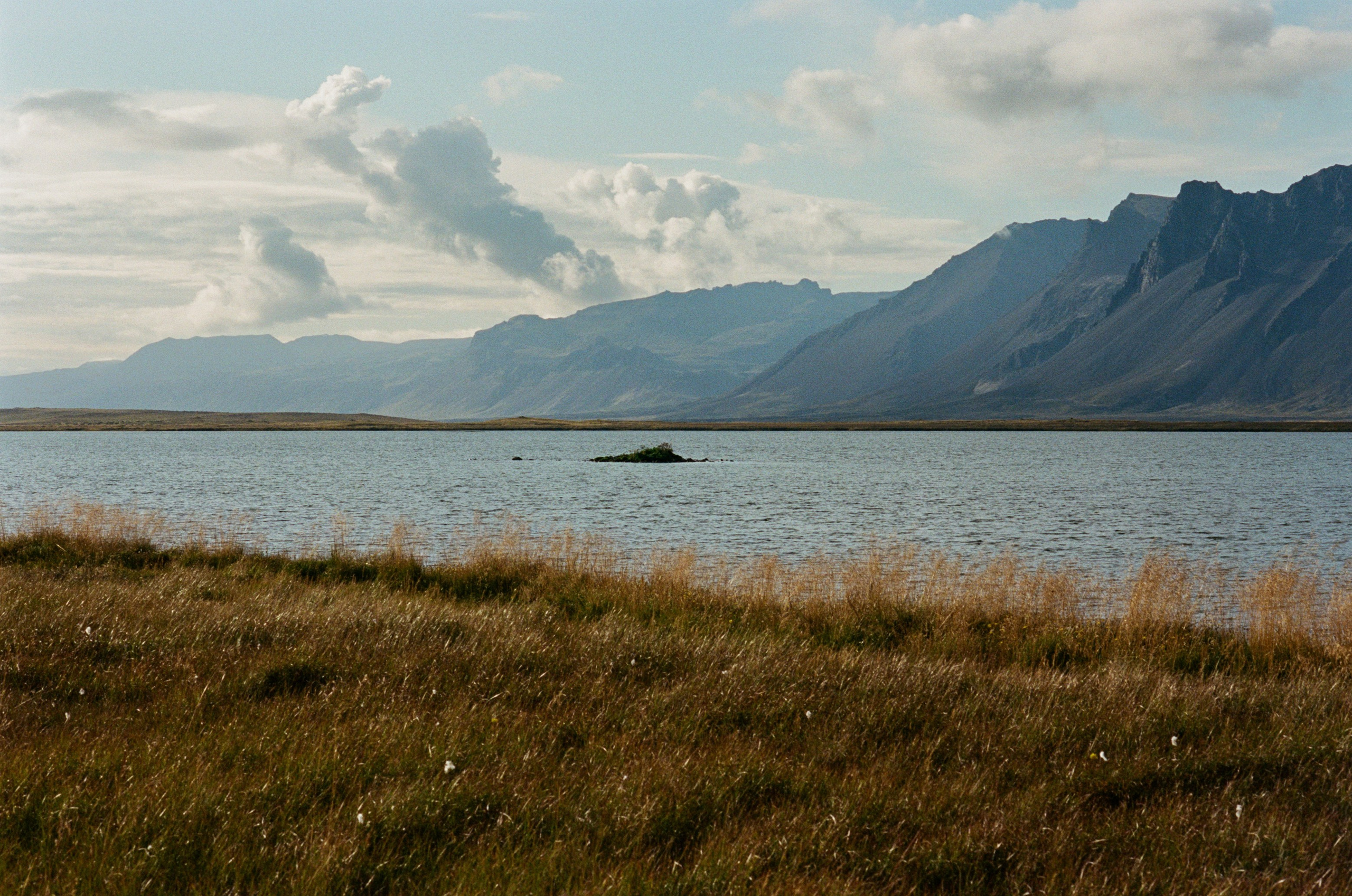Vor i vaglaskogi // iceland, 574 utnesvegur. EVER EXPOSED
