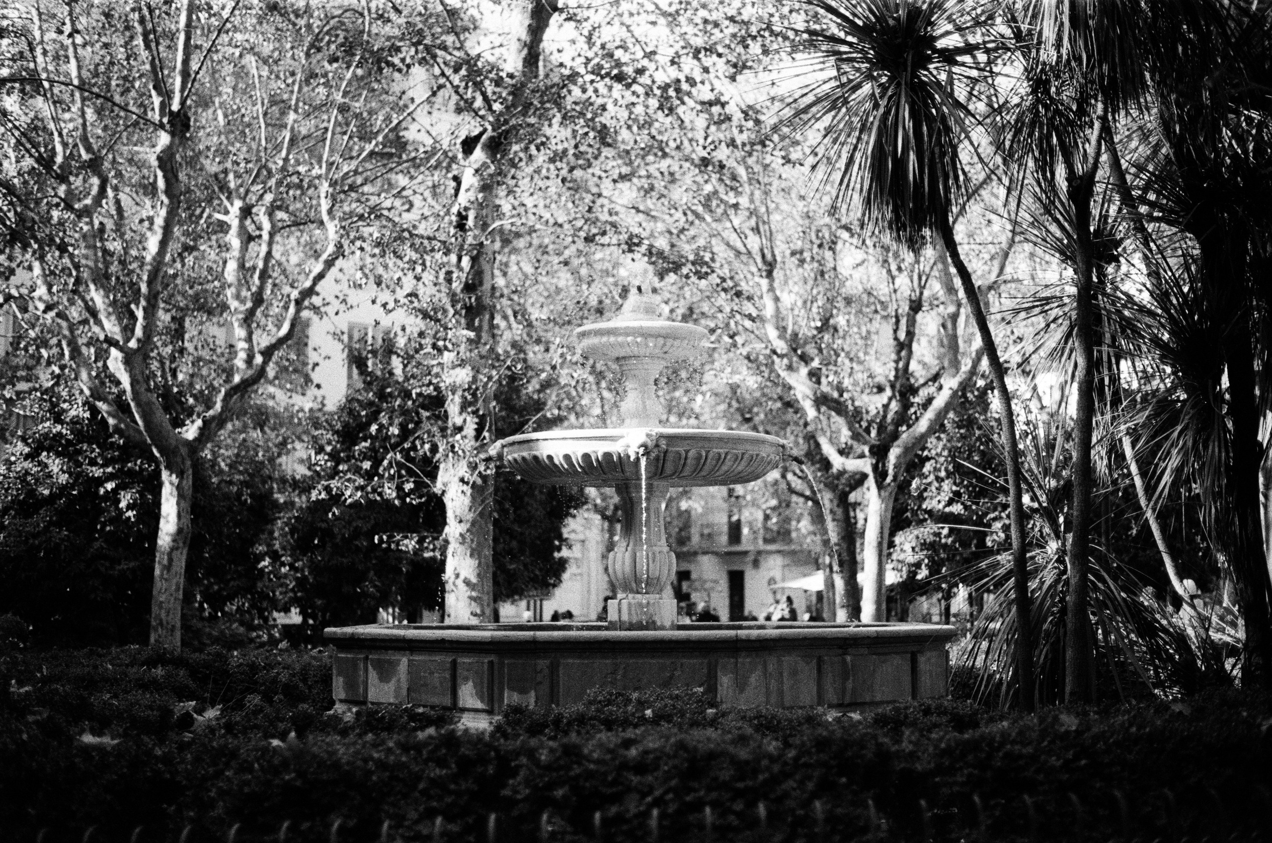 Spanish sahara // spain, granada II. EVER EXPOSED