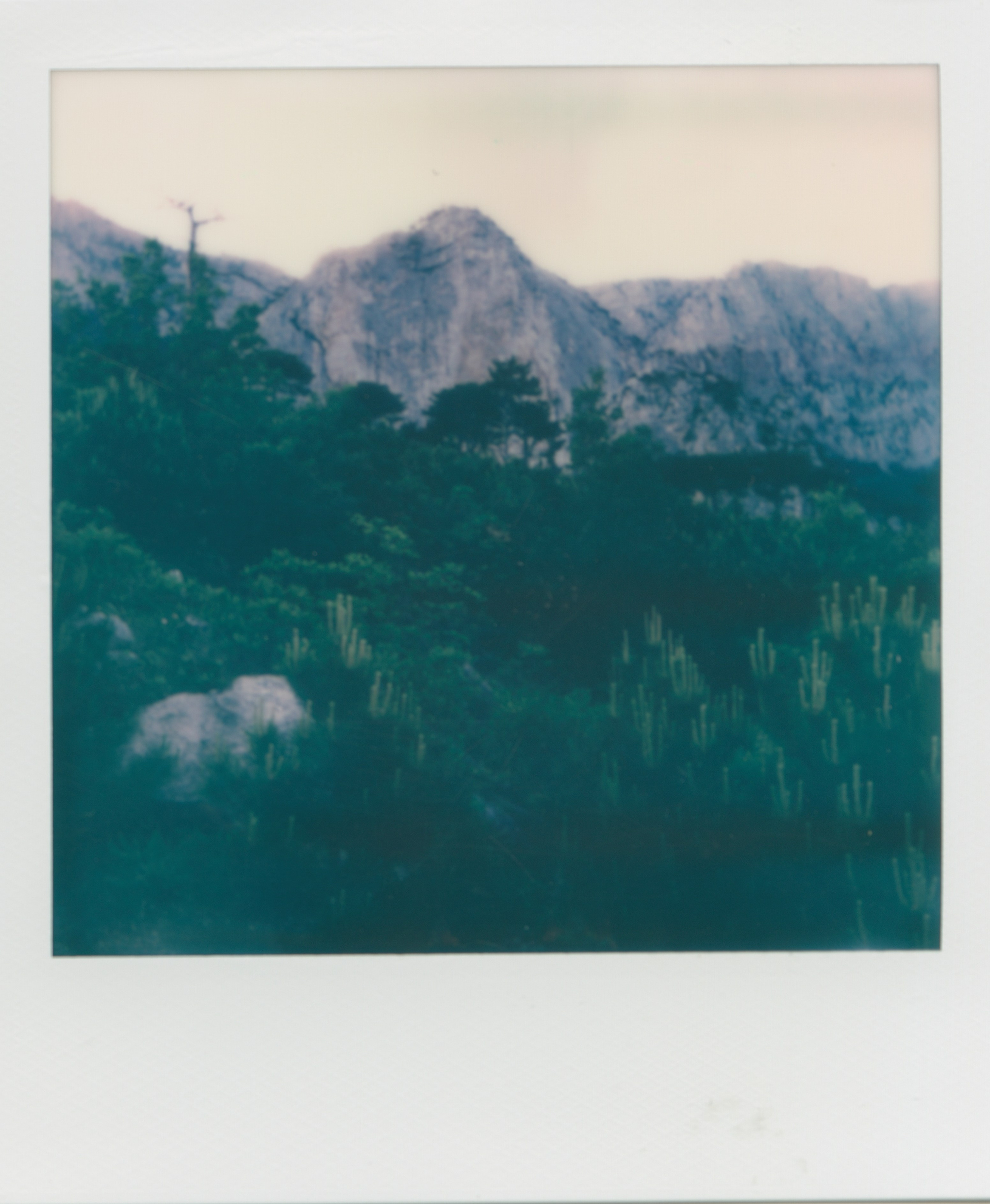 POLAROID. EVER EXPOSED