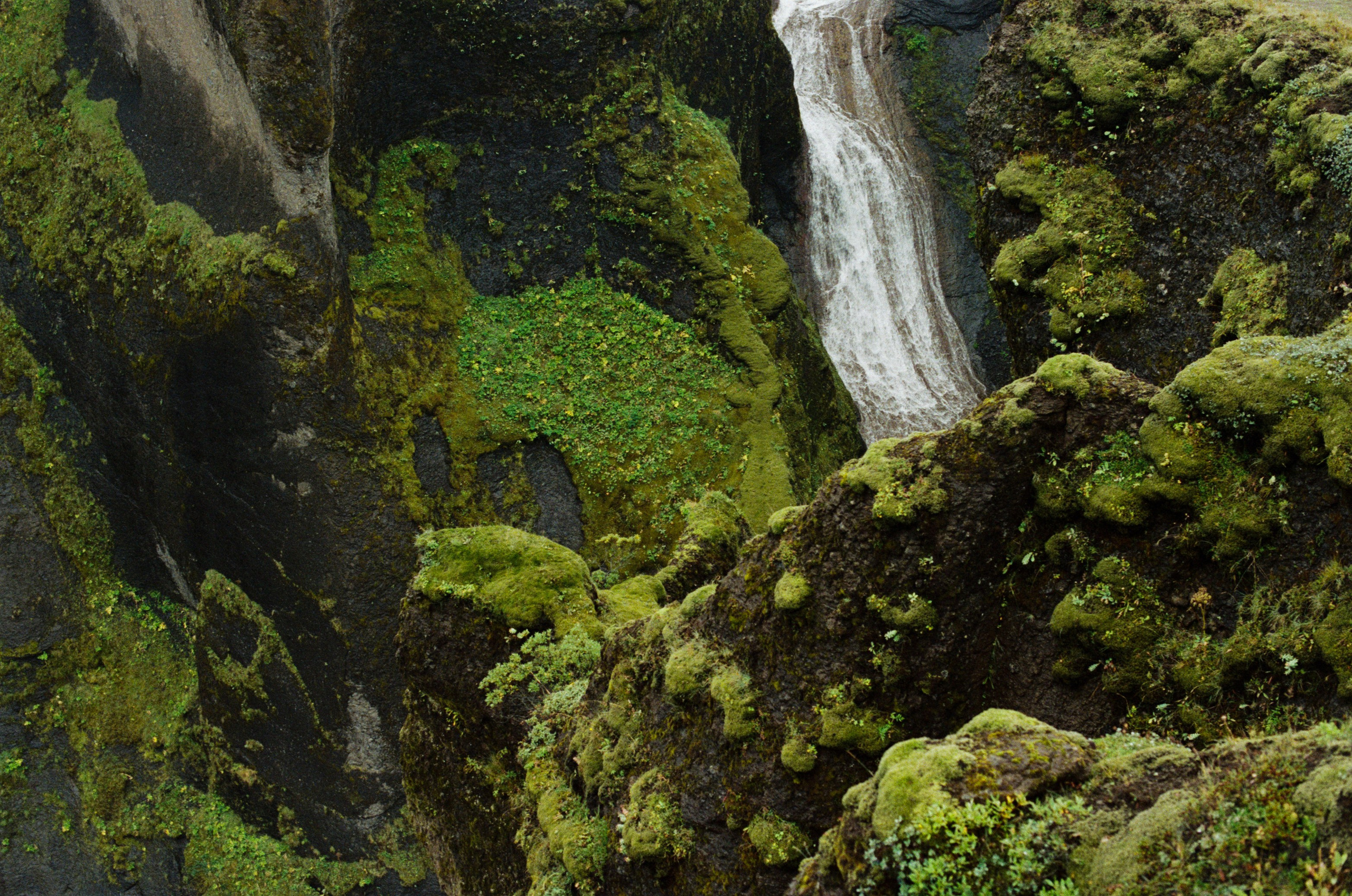 I of the storm // iceland, fjaðrárgljúfur. EVER EXPOSED