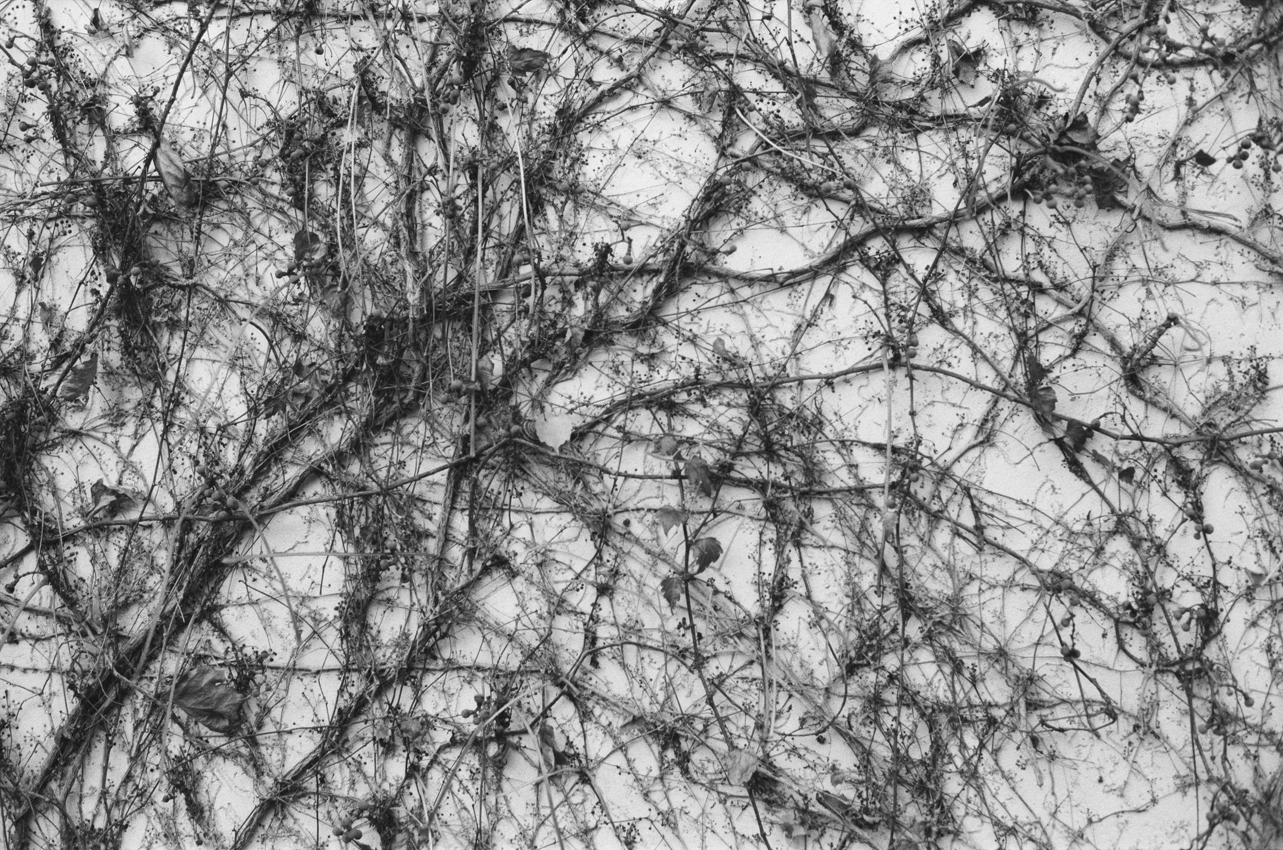 I o u // ukraine, crimea II. EVER EXPOSED