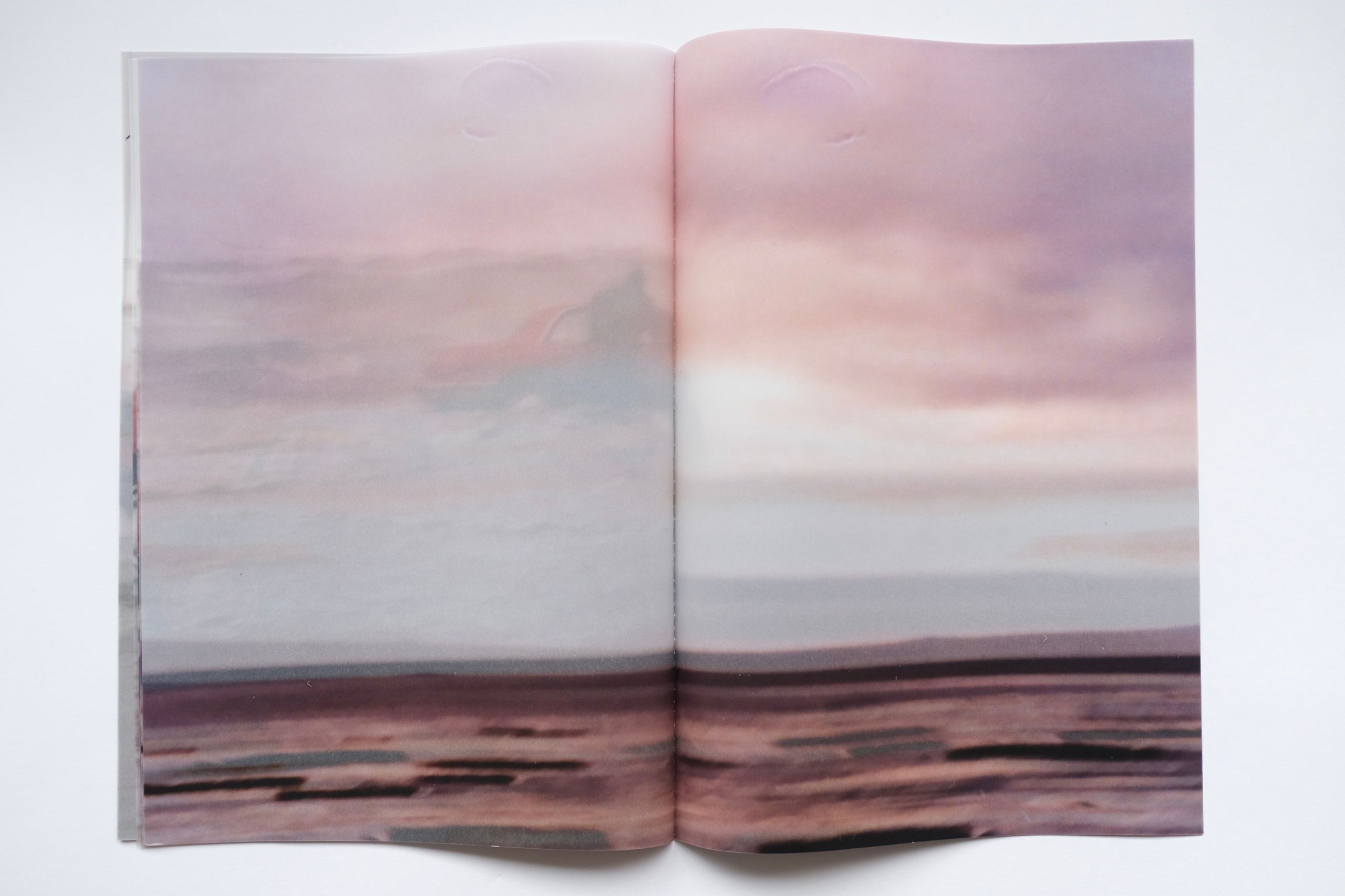 BuickleSabre1998 [зин/work in progress]. Аня белка — художница и фотограф