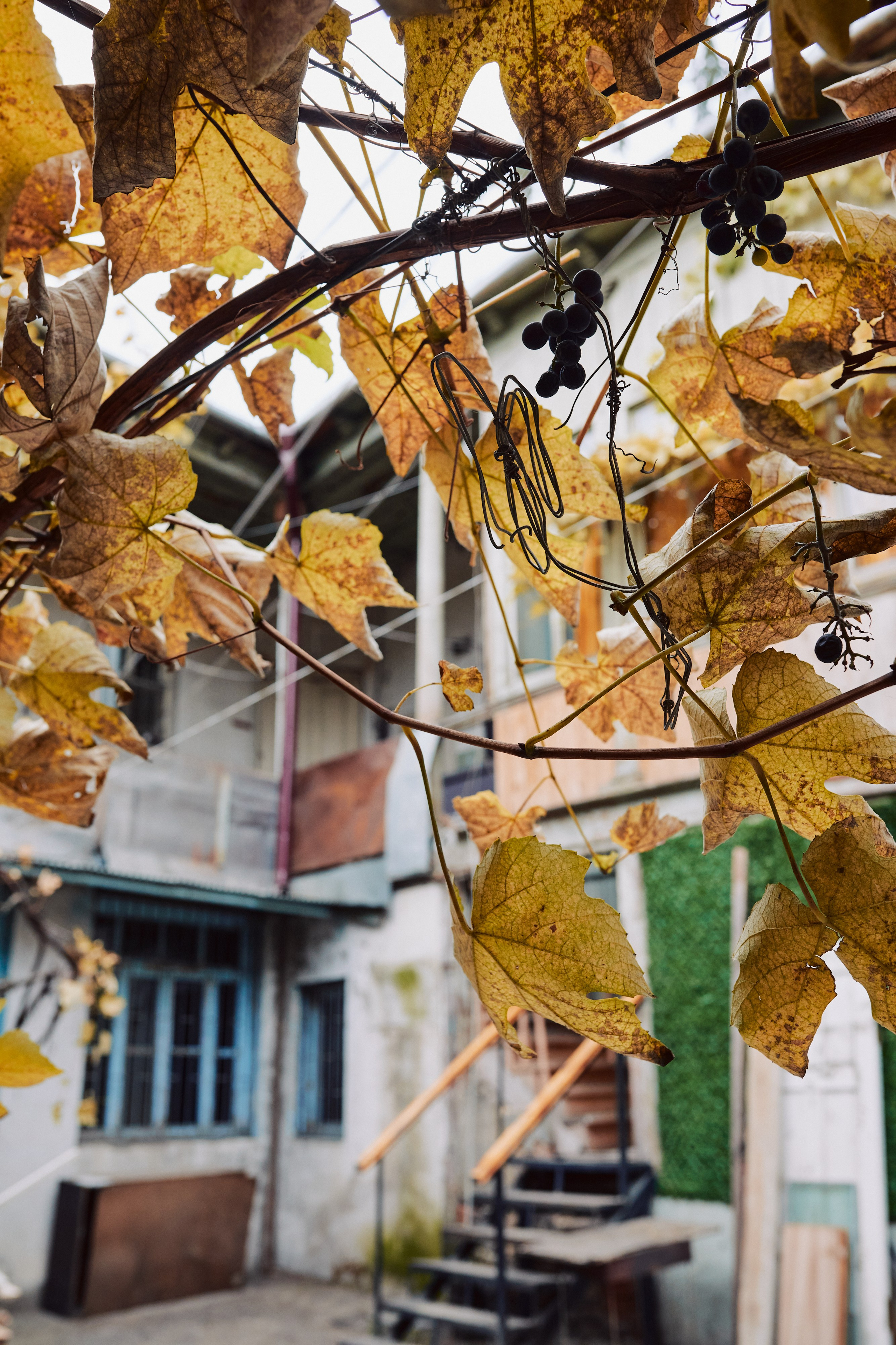 Тбилиси. Фотограф Продюсер в горах КБР / Москва  Нальчик Горы