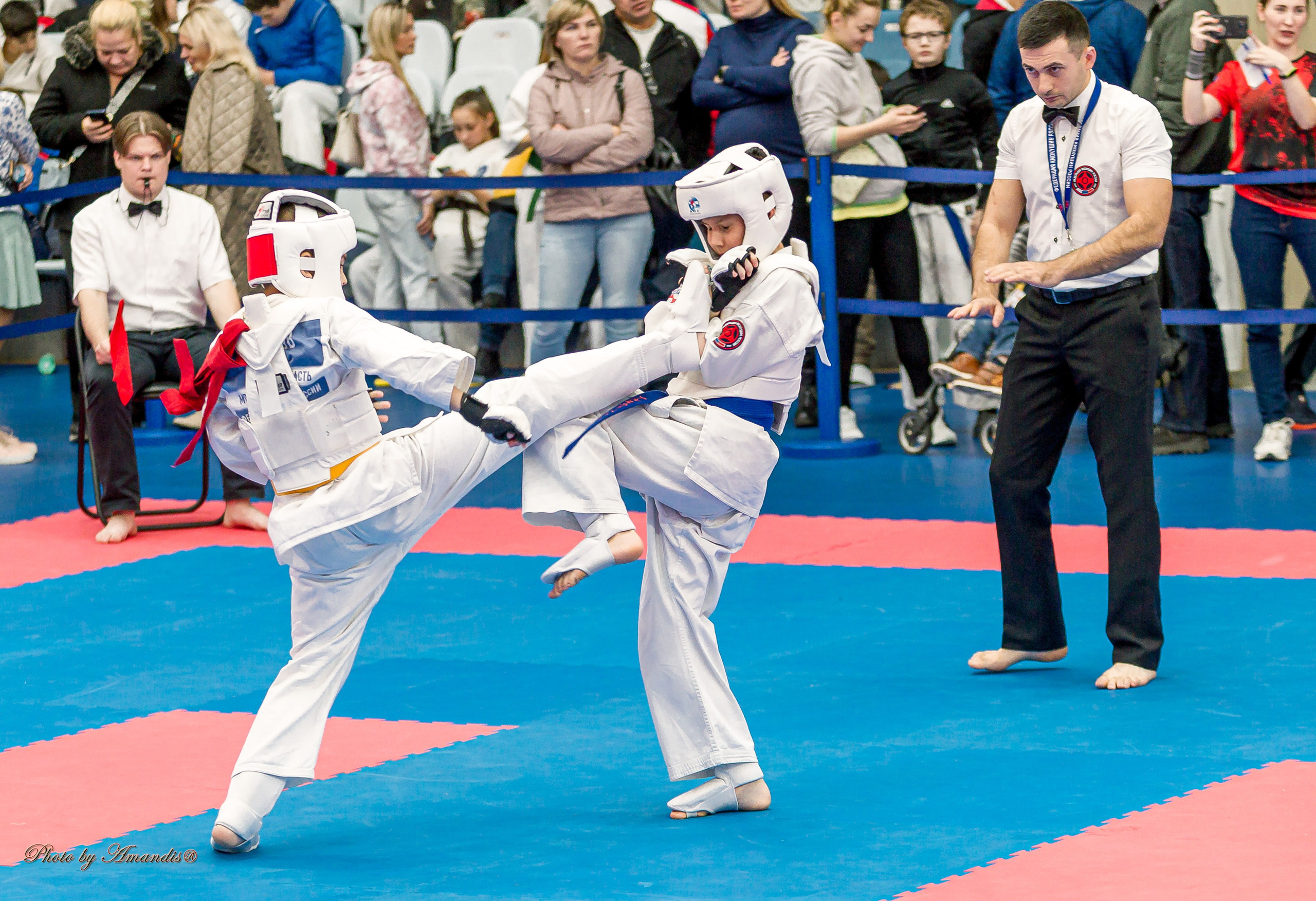Чемпионат по Киокушинкай Центрального Федерального округа. Репортажная съемка в Москве и области. Анималистика