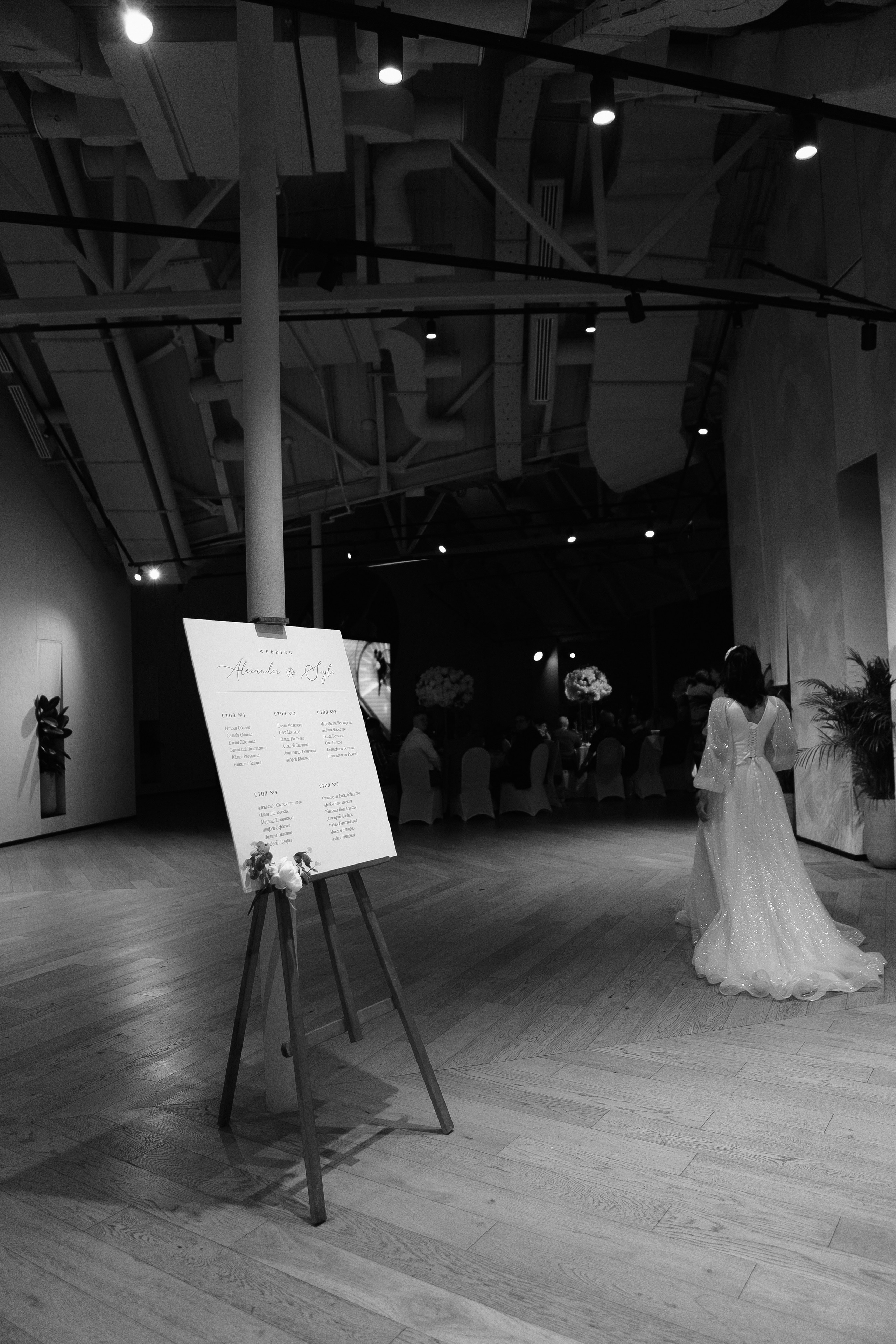 Свадьба Александра и Сойли. Фотограф Кольчугино/Владимир/Москва Елизавета Иода