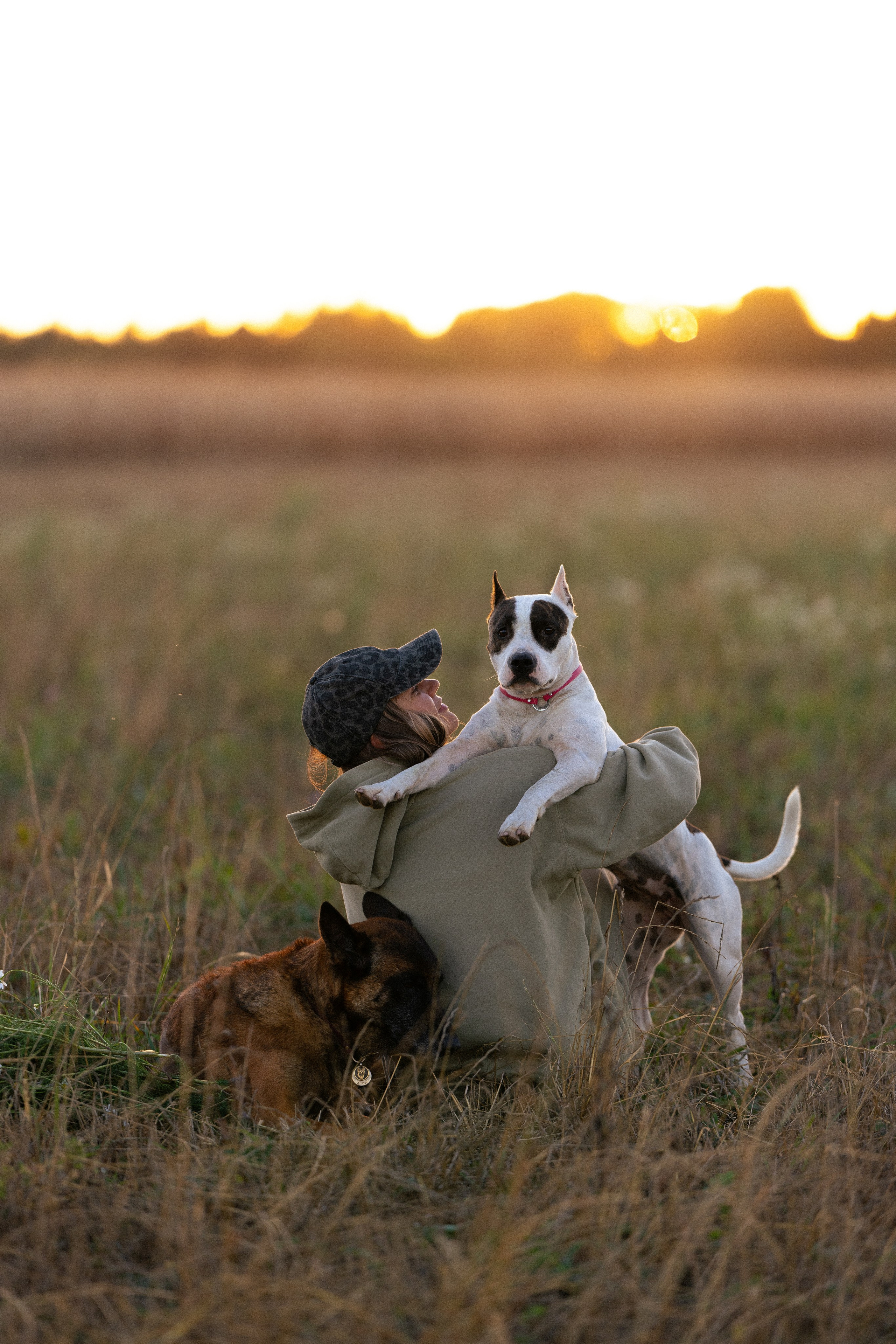 Женя, Афра и Молли. Фотограф и видеограф анималист Аганина Дарья