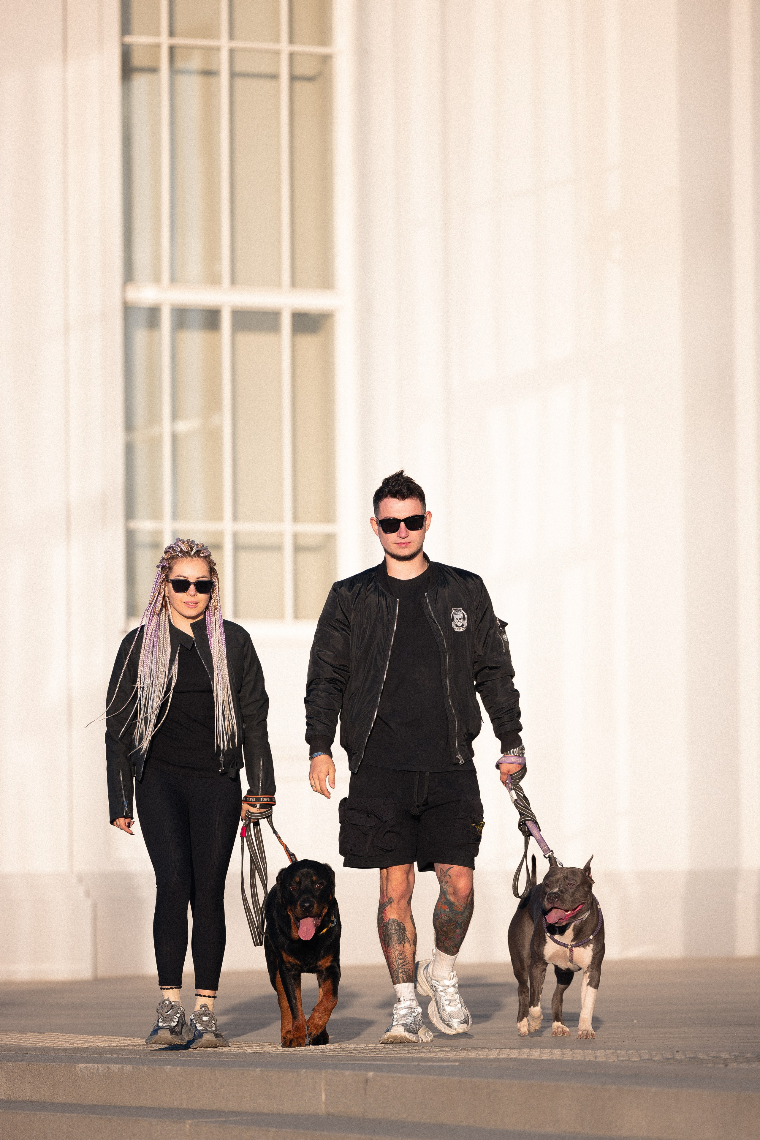 Катя, Леша, Трой и Лея. Фотограф и видеограф анималист Аганина Дарья