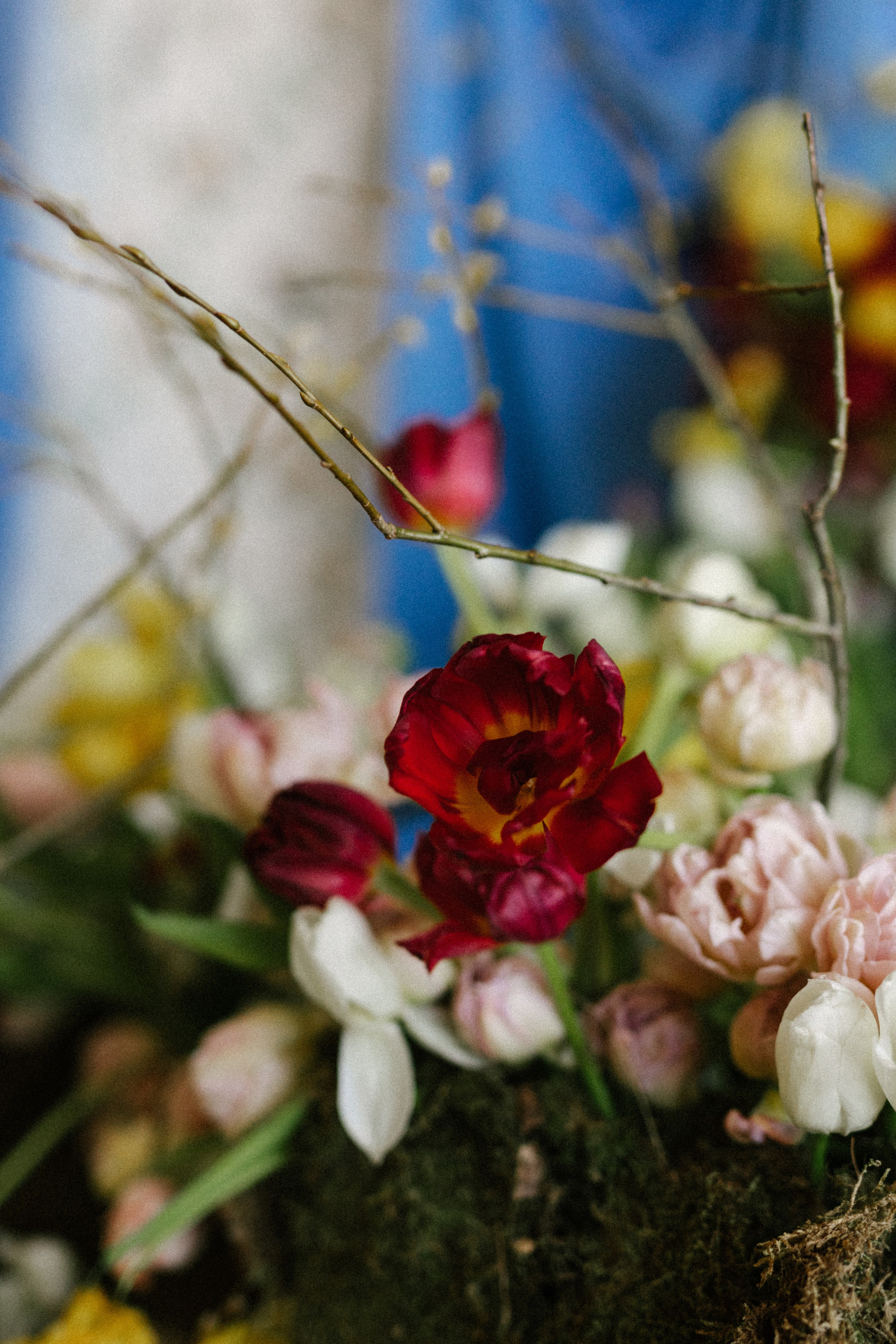 Таня. Свадебный и портретный фотограф — Мария Костина