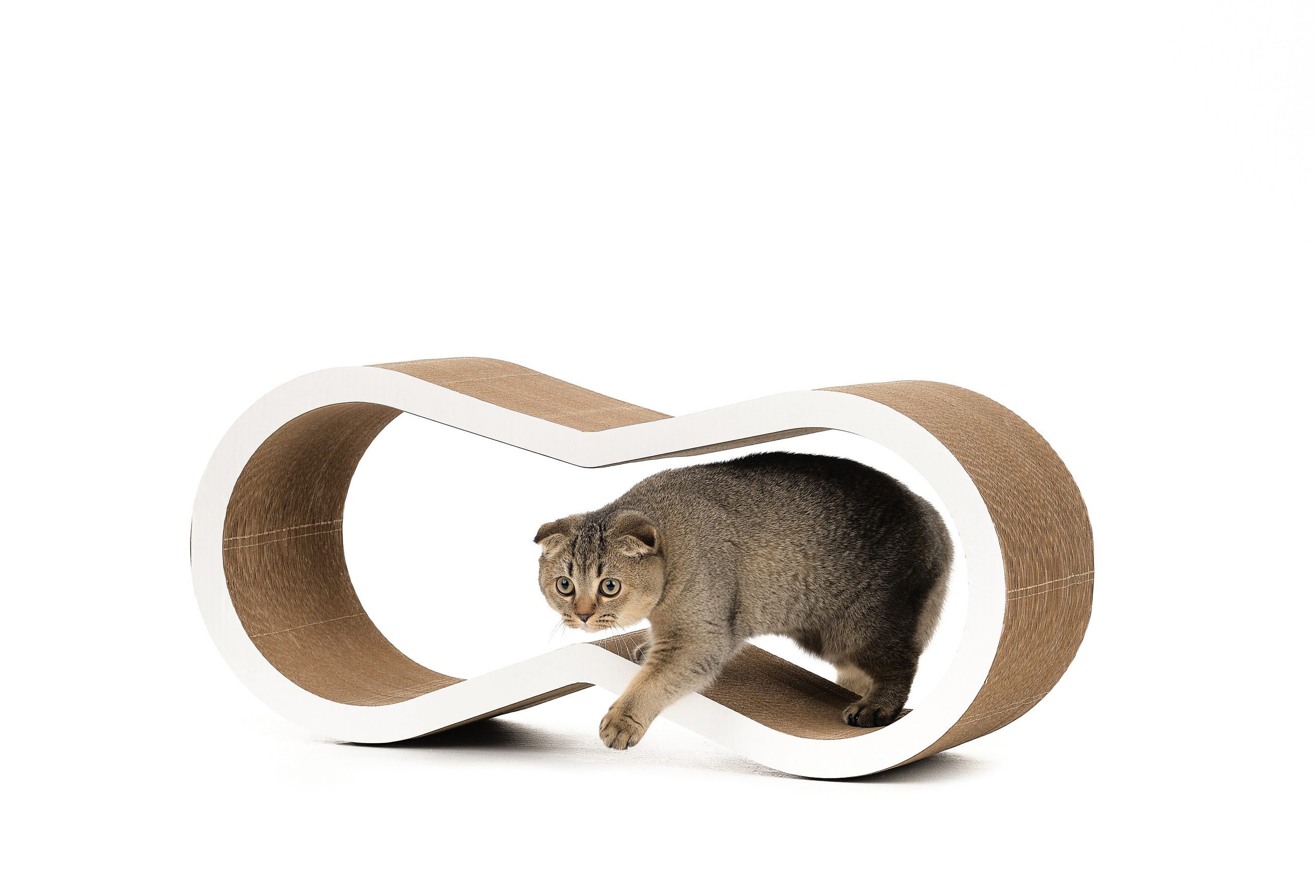 Каталожная съемка. Фотостудия КВАДРАТ